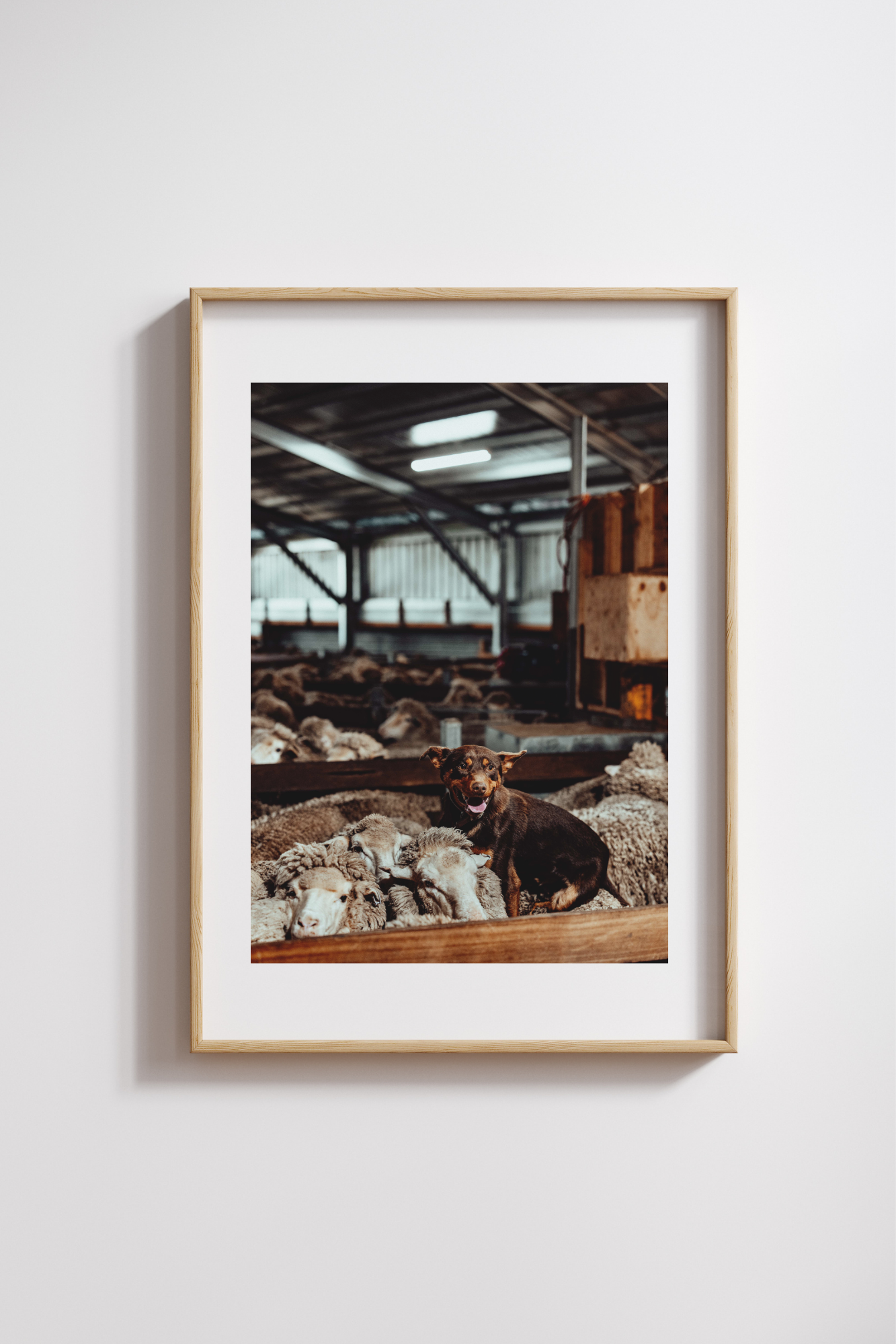 Top of the Mob Photographic Print