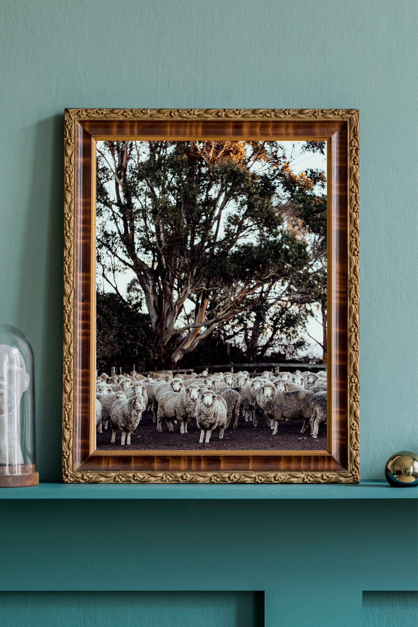 In the Holding Yard I Photographic Print