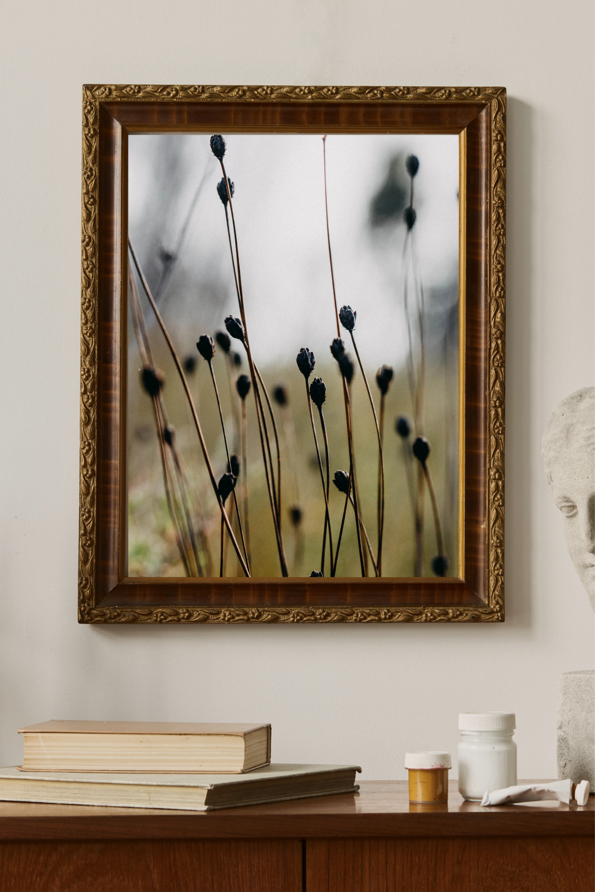 Buttongrass Moorland Photographic Print