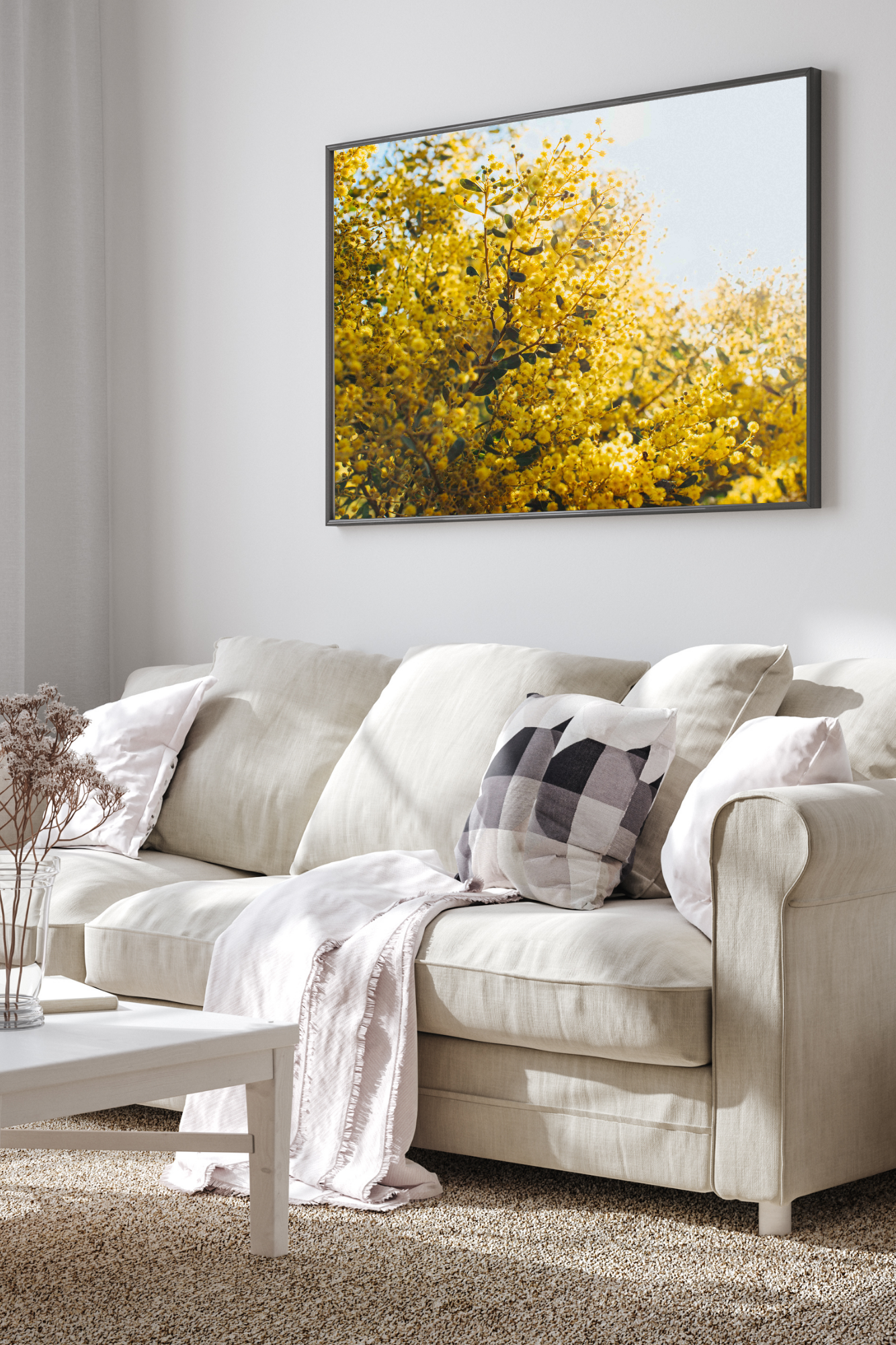 Australian Acacia Wattle Photographic Print