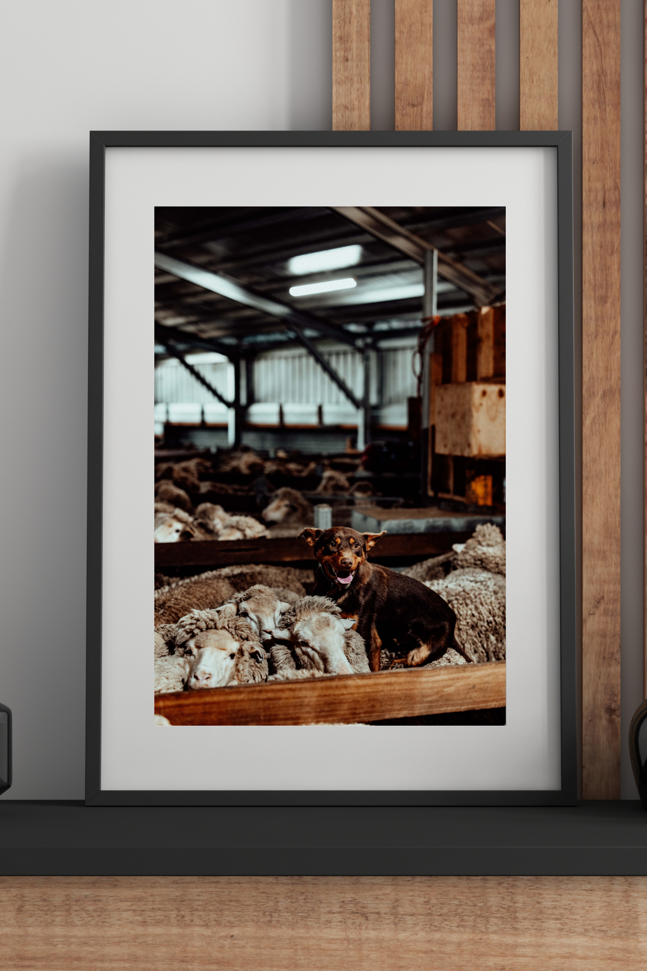 Top of the Mob Photographic Print