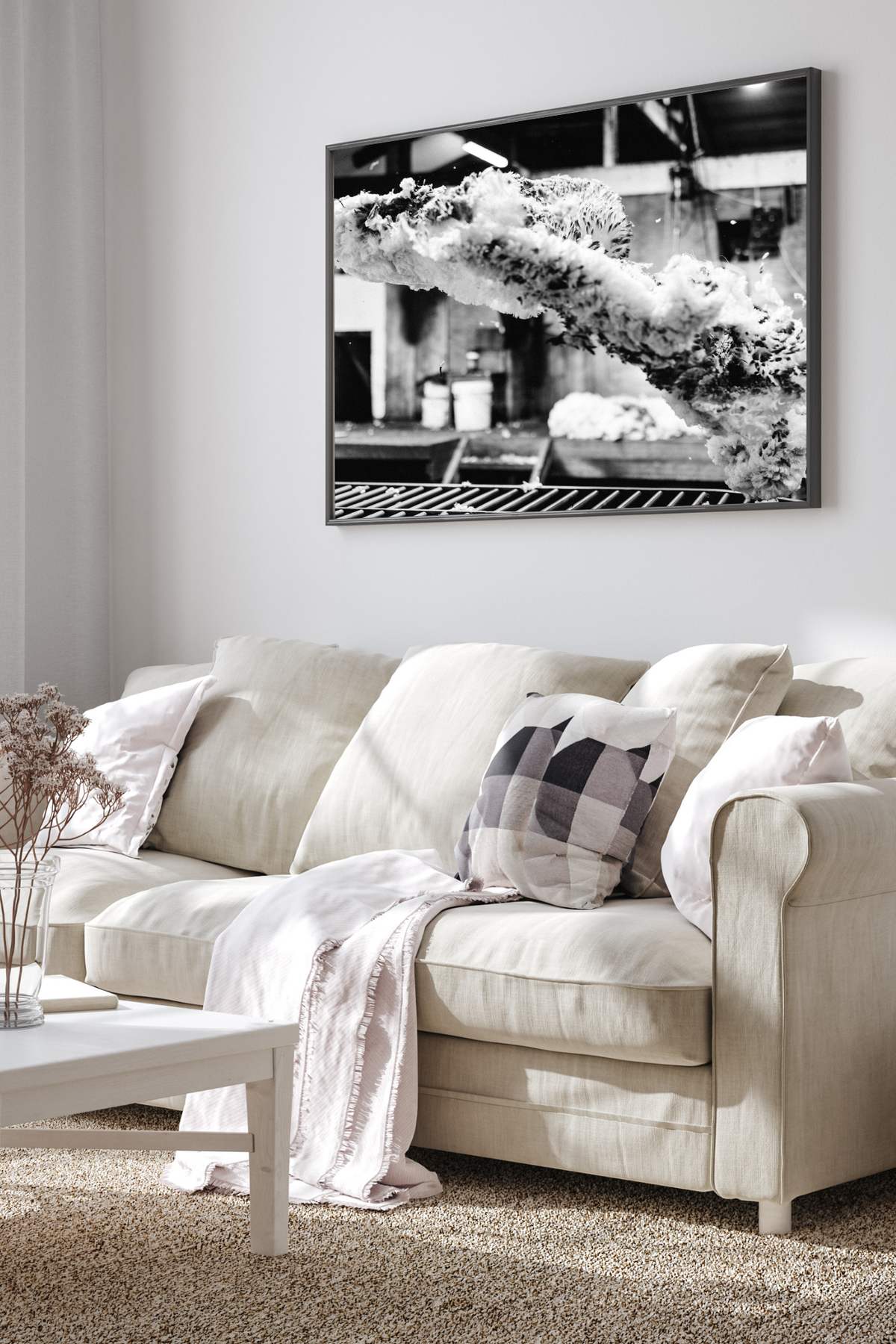 Throw of the Fleece Photographic Print