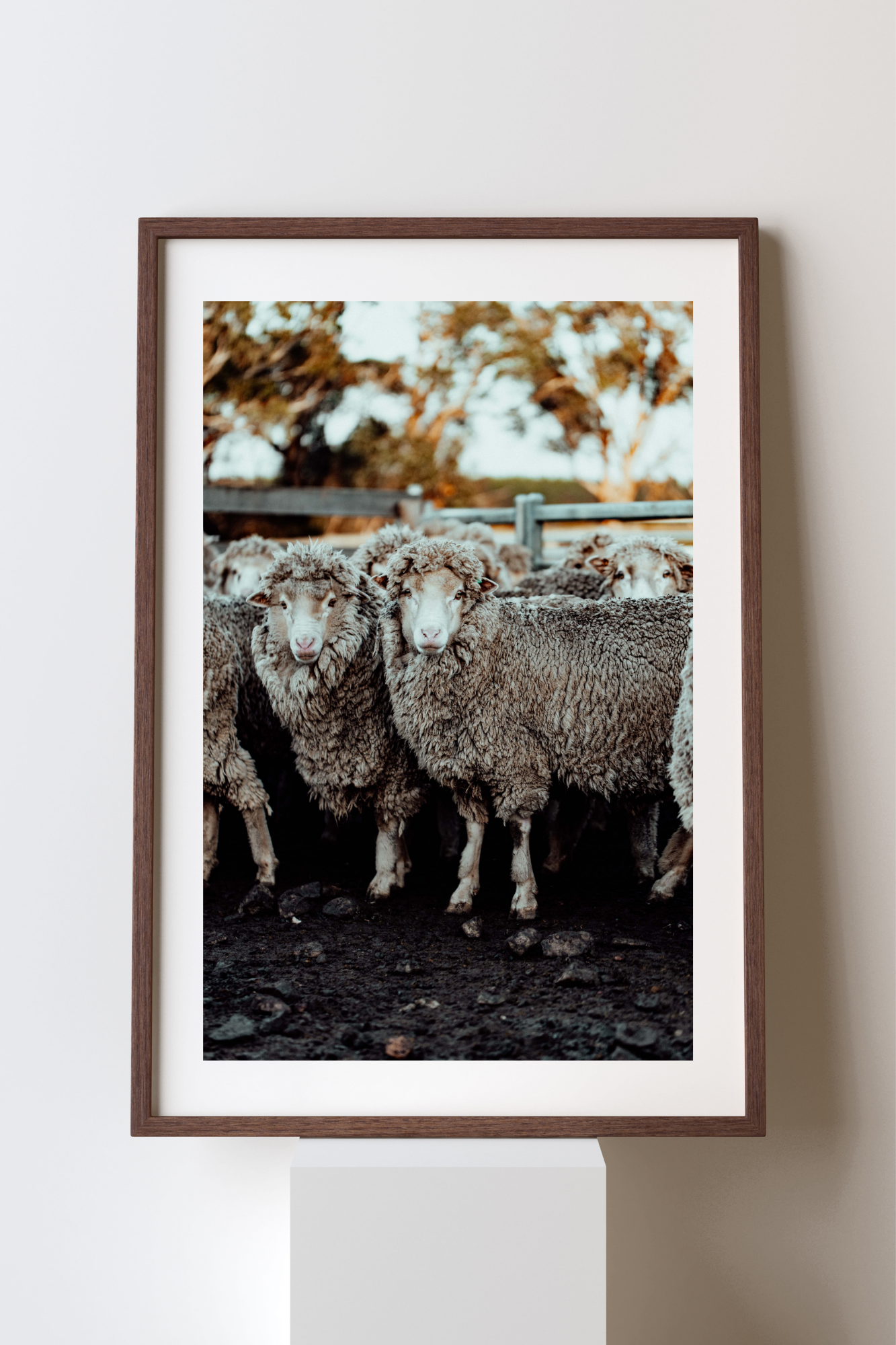 The Waiting Mob II Photographic Print