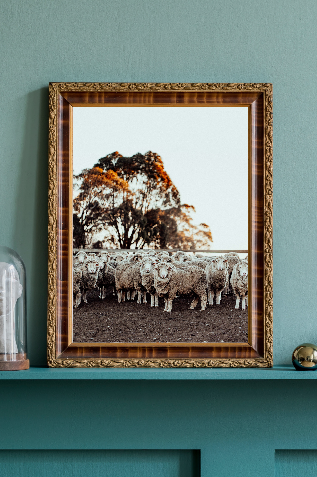 In the Holding Yard II Photographic Print