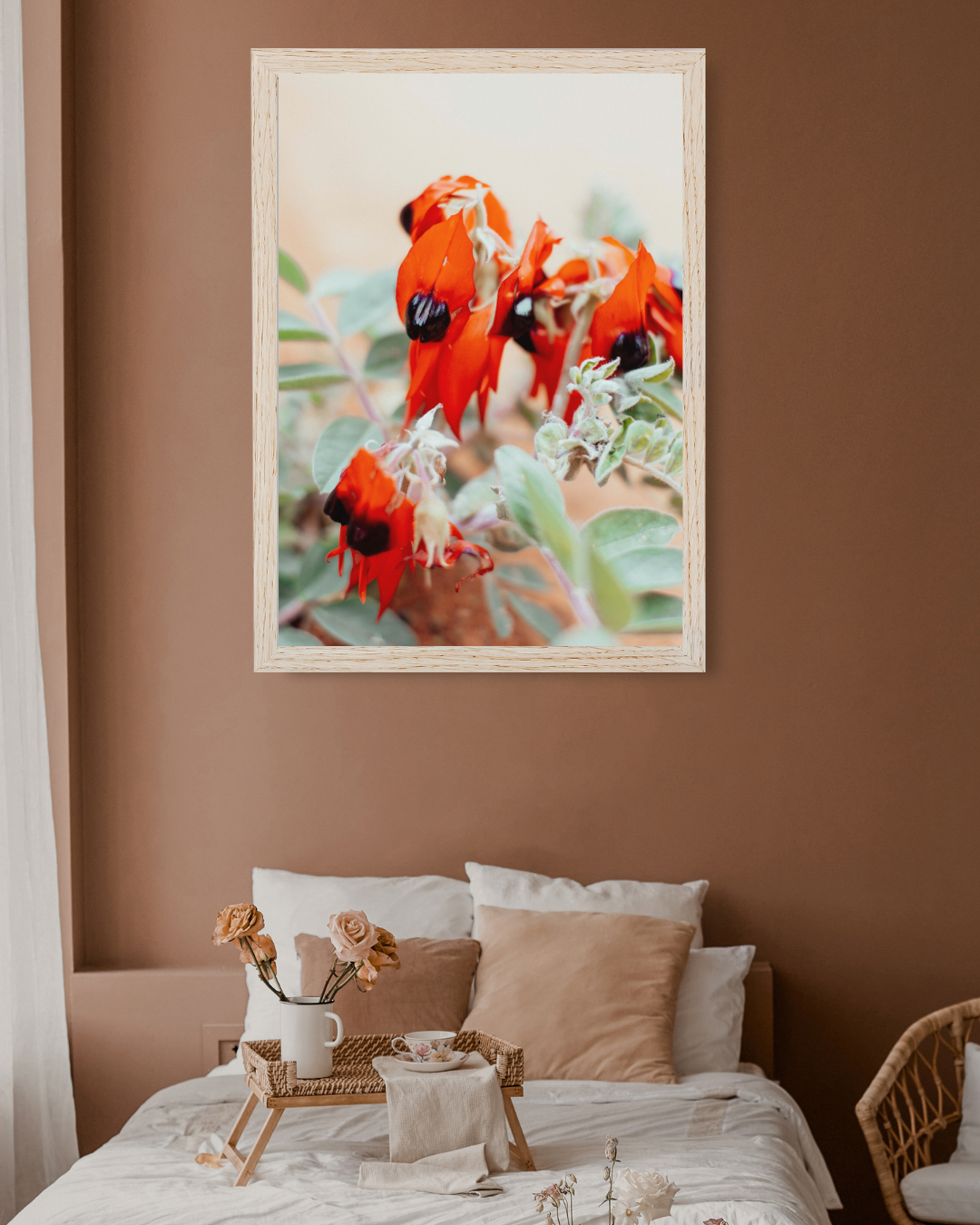 Australian Sturt Desert Pea Flower I Photographic Print