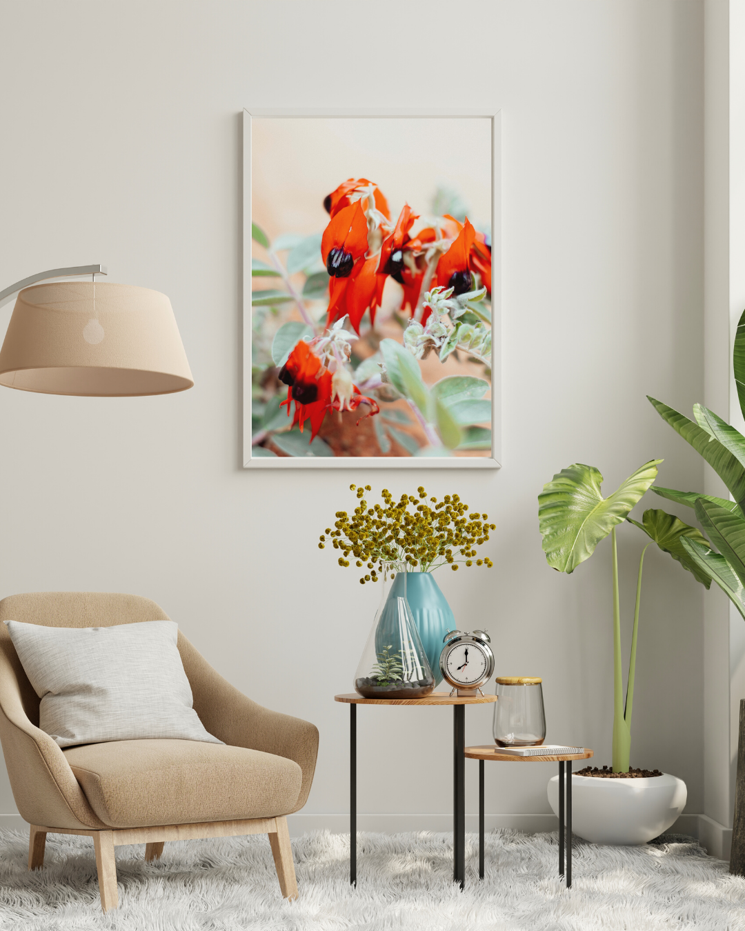 Australian Sturt Desert Pea Flower I Photographic Print