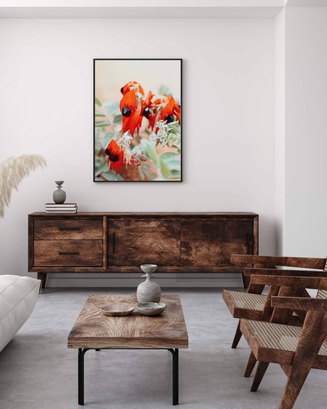 Australian Sturt Desert Pea Flower I Photographic Print