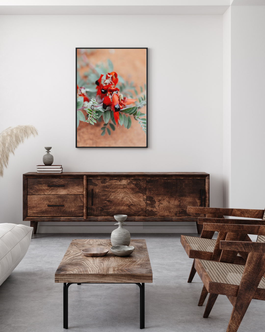Australian Sturt Desert Pea Flower II Photographic Print