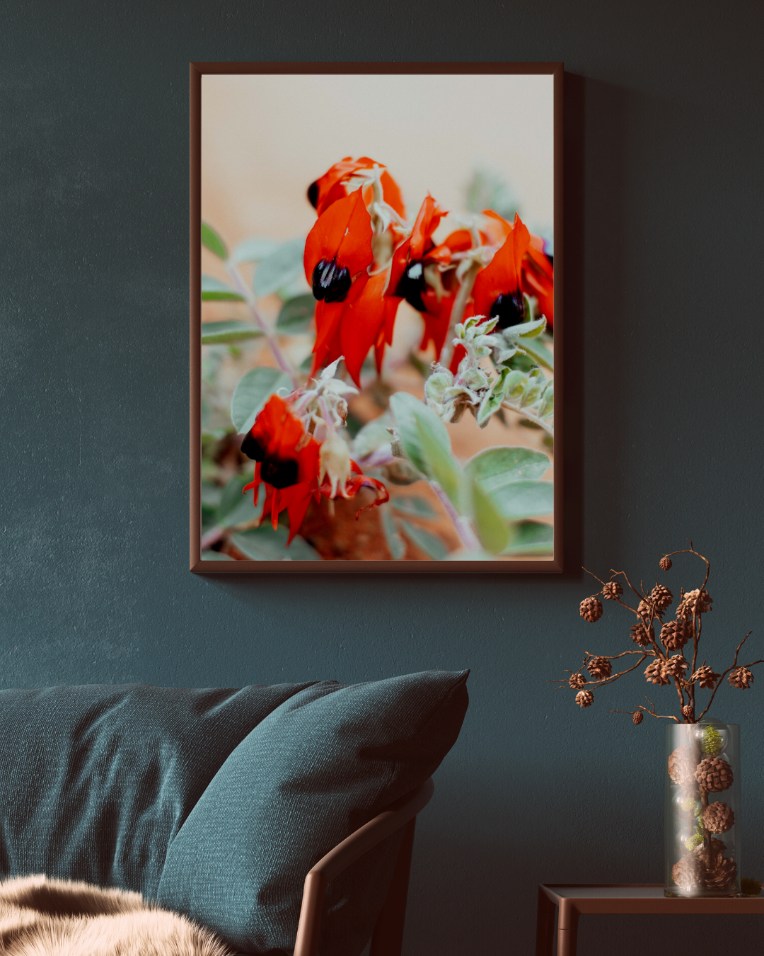 Australian Sturt Desert Pea Flower I Photographic Print