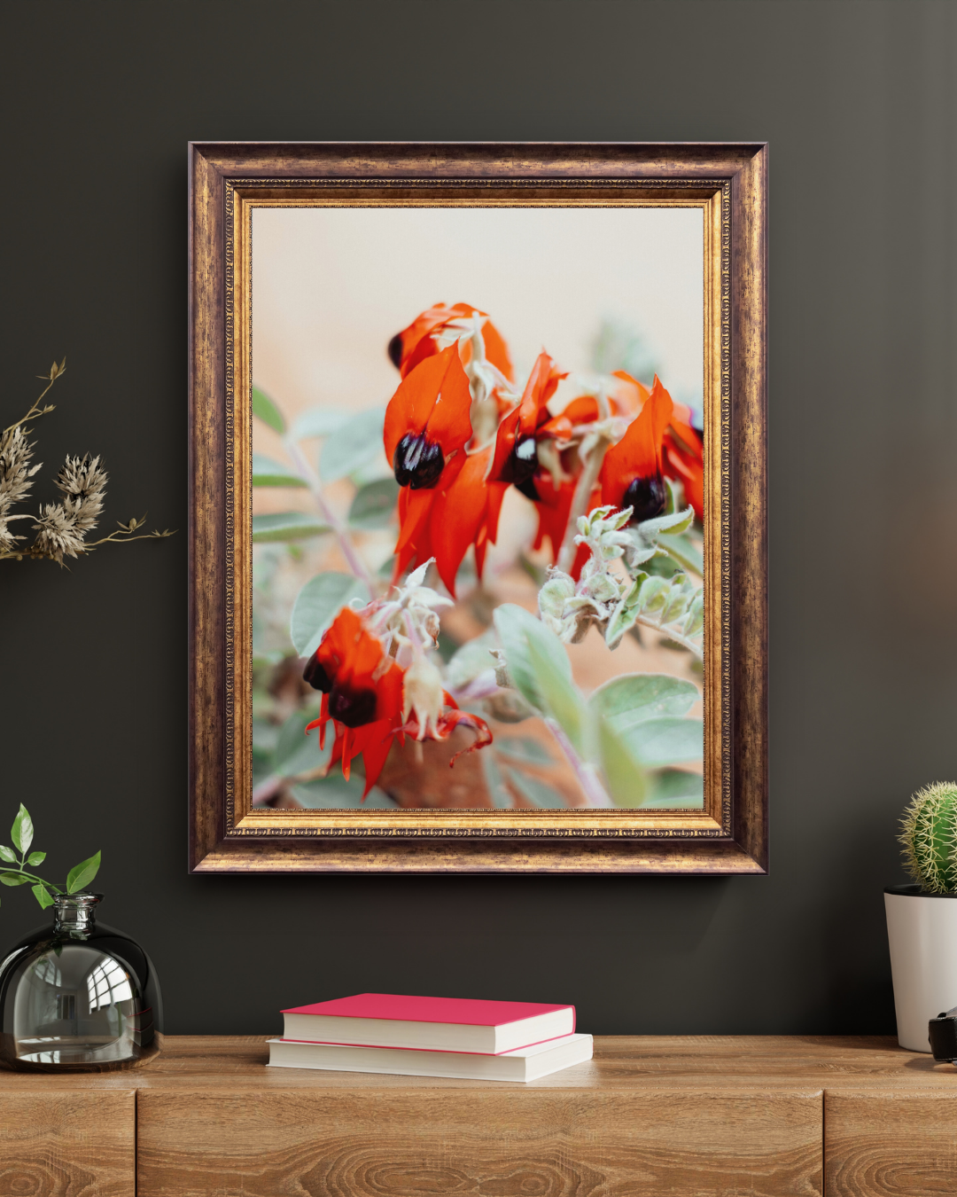 Australian Sturt Desert Pea Flower I Photographic Print