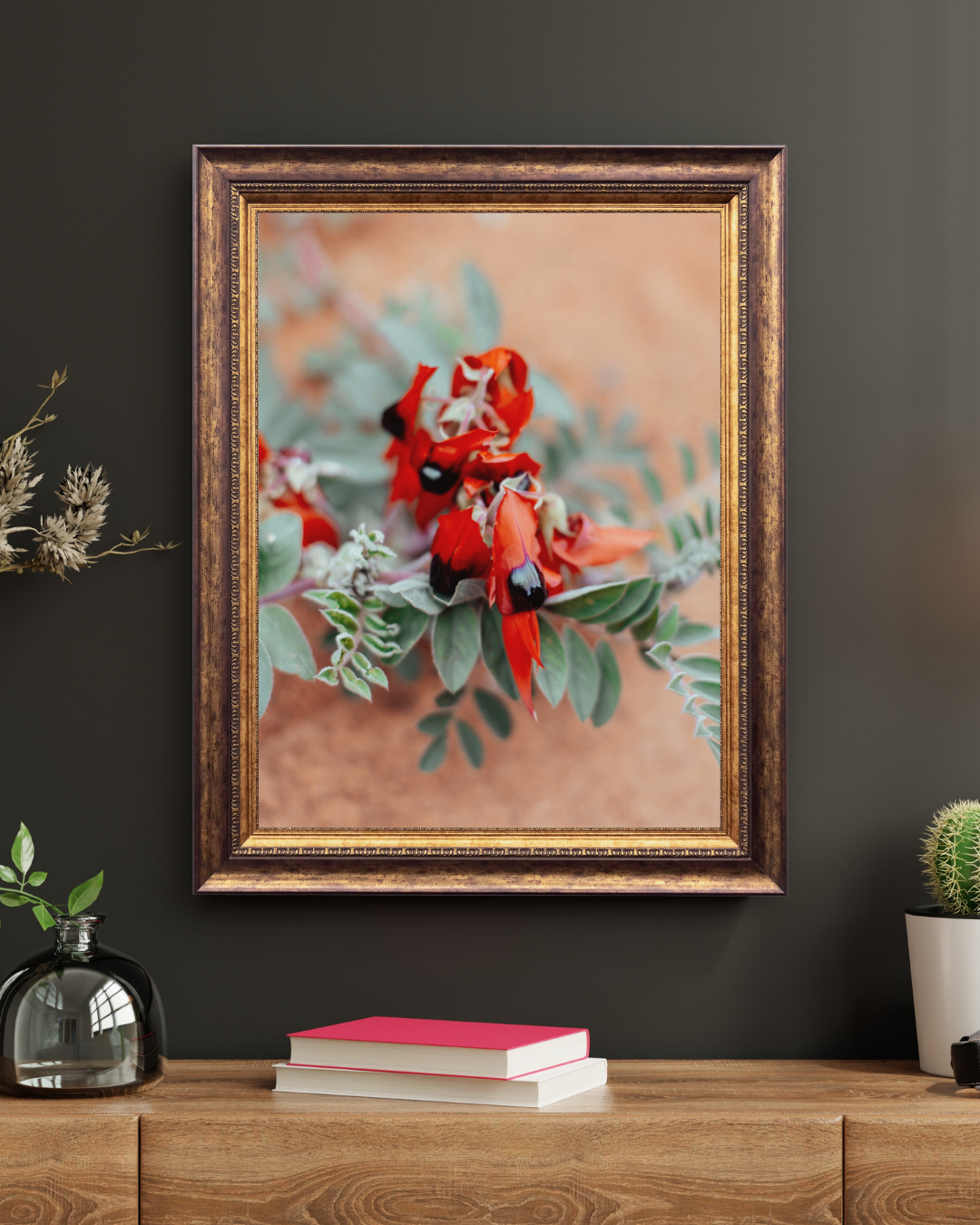 Australian Sturt Desert Pea Flower II Photographic Print