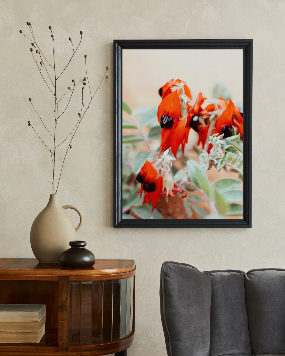 Australian Sturt Desert Pea Flower I Photographic Print