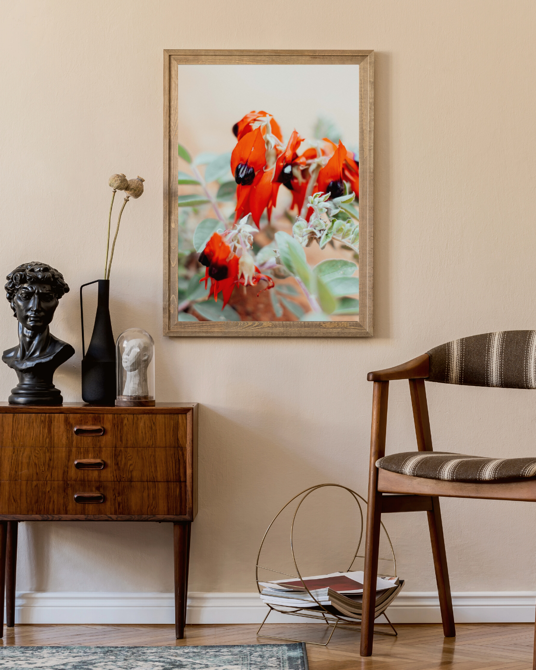 Australian Sturt Desert Pea Flower I Photographic Print