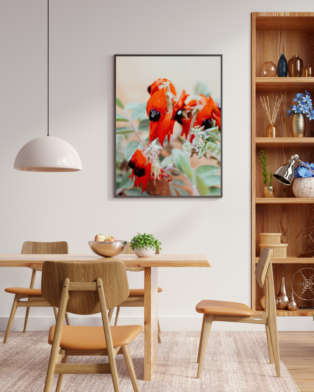 Australian Sturt Desert Pea Flower I Photographic Print