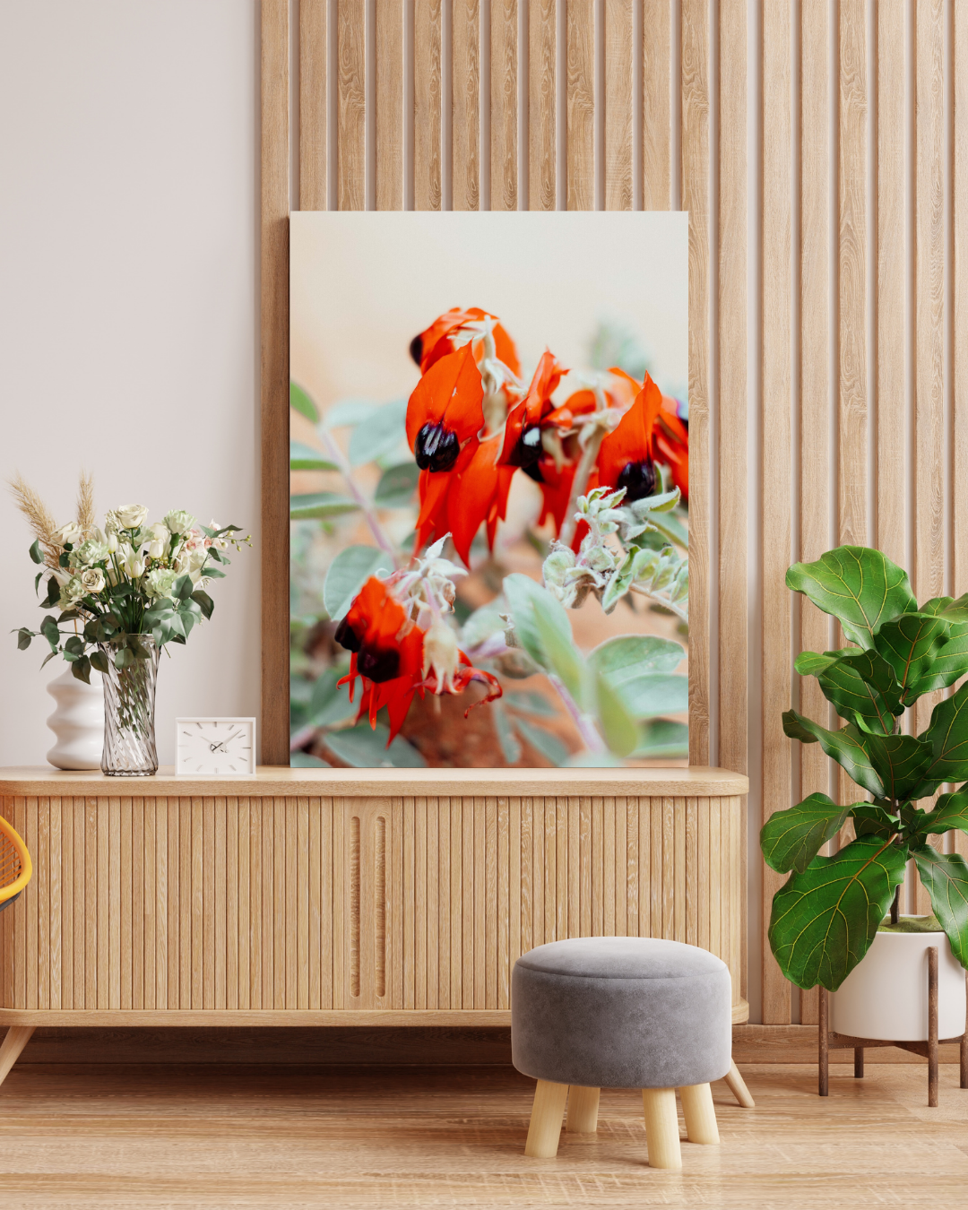 Australian Sturt Desert Pea Flower I Photographic Print