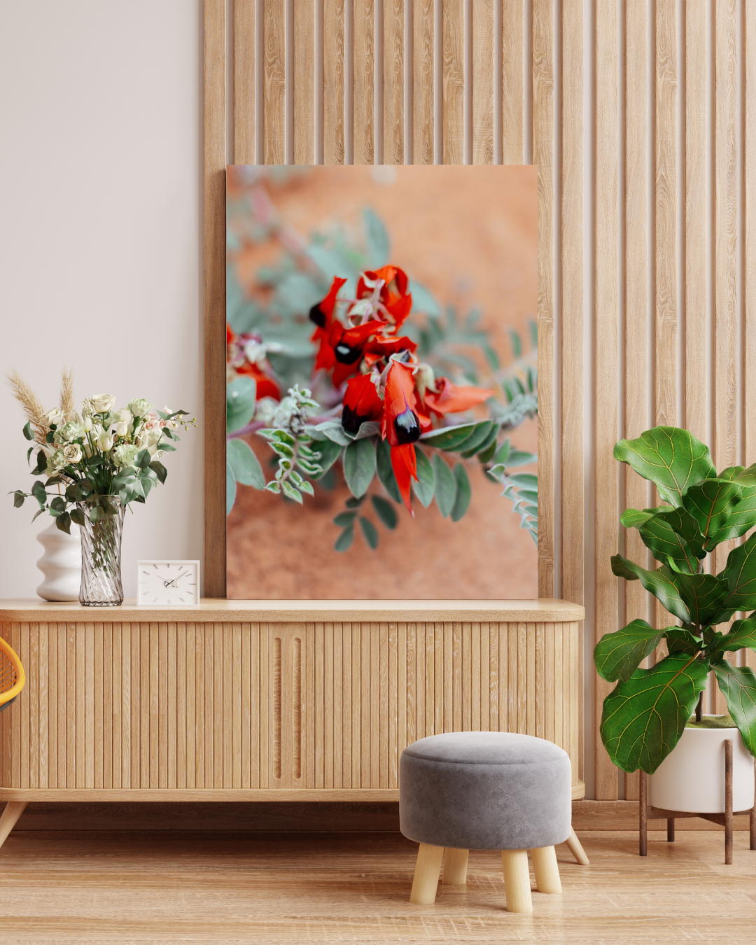 Australian Sturt Desert Pea Flower II Photographic Print