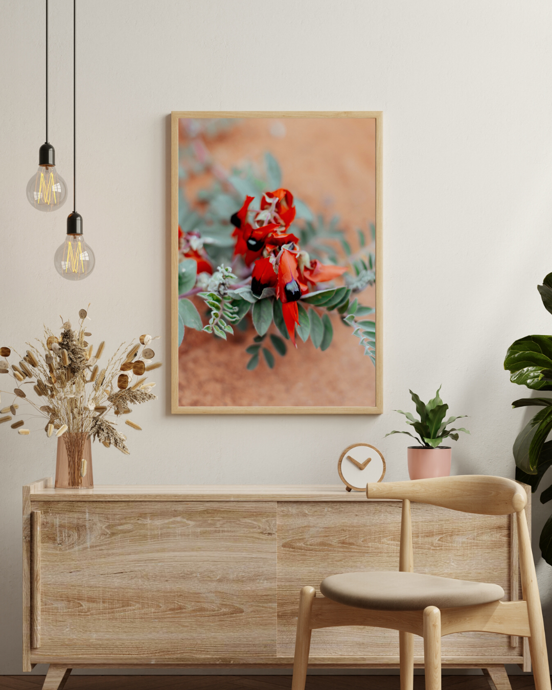 Australian Sturt Desert Pea Flower II Photographic Print
