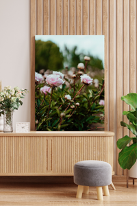Field of Peonies I Photographic Print