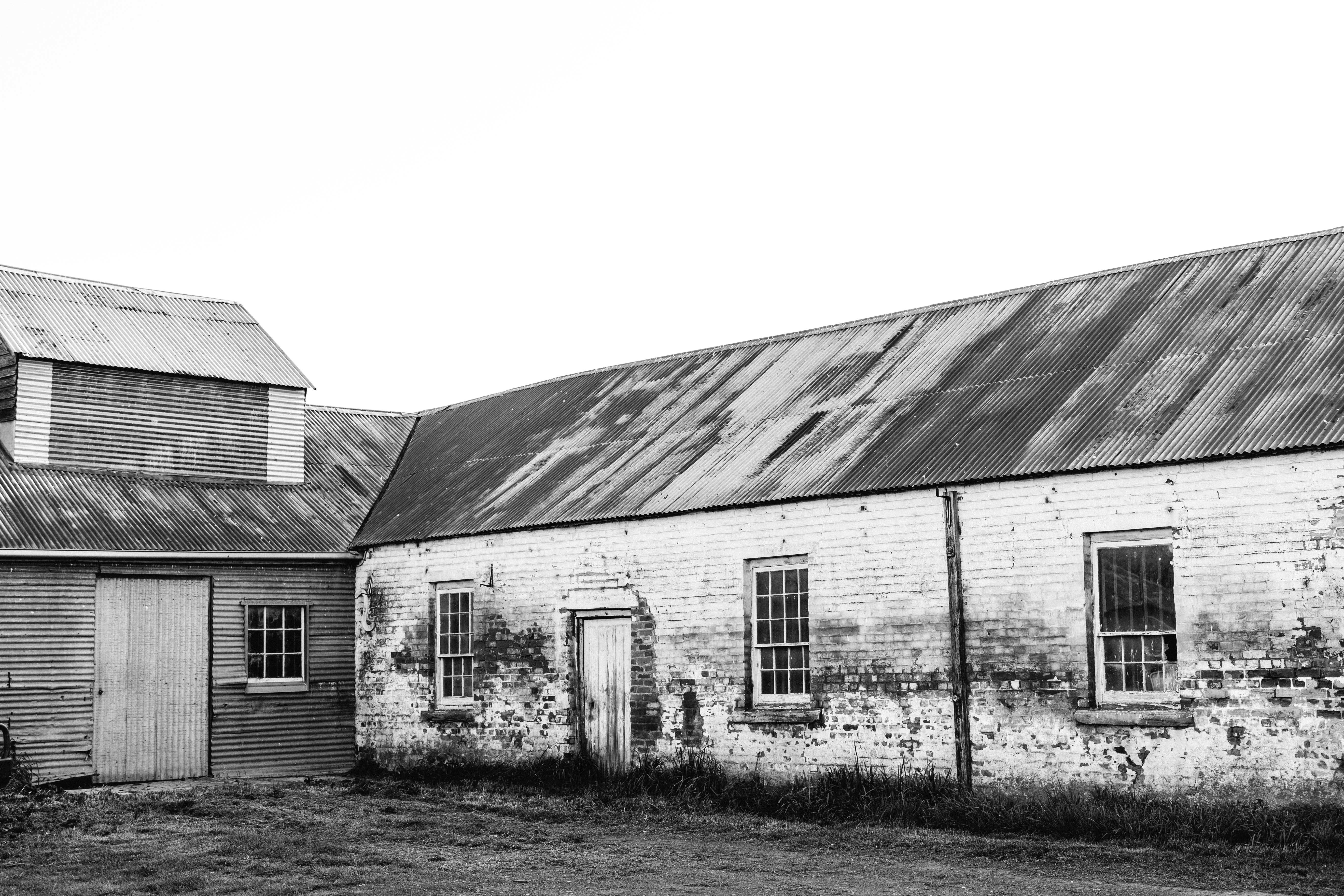 Cressy Shearing Shed Photographic Print
