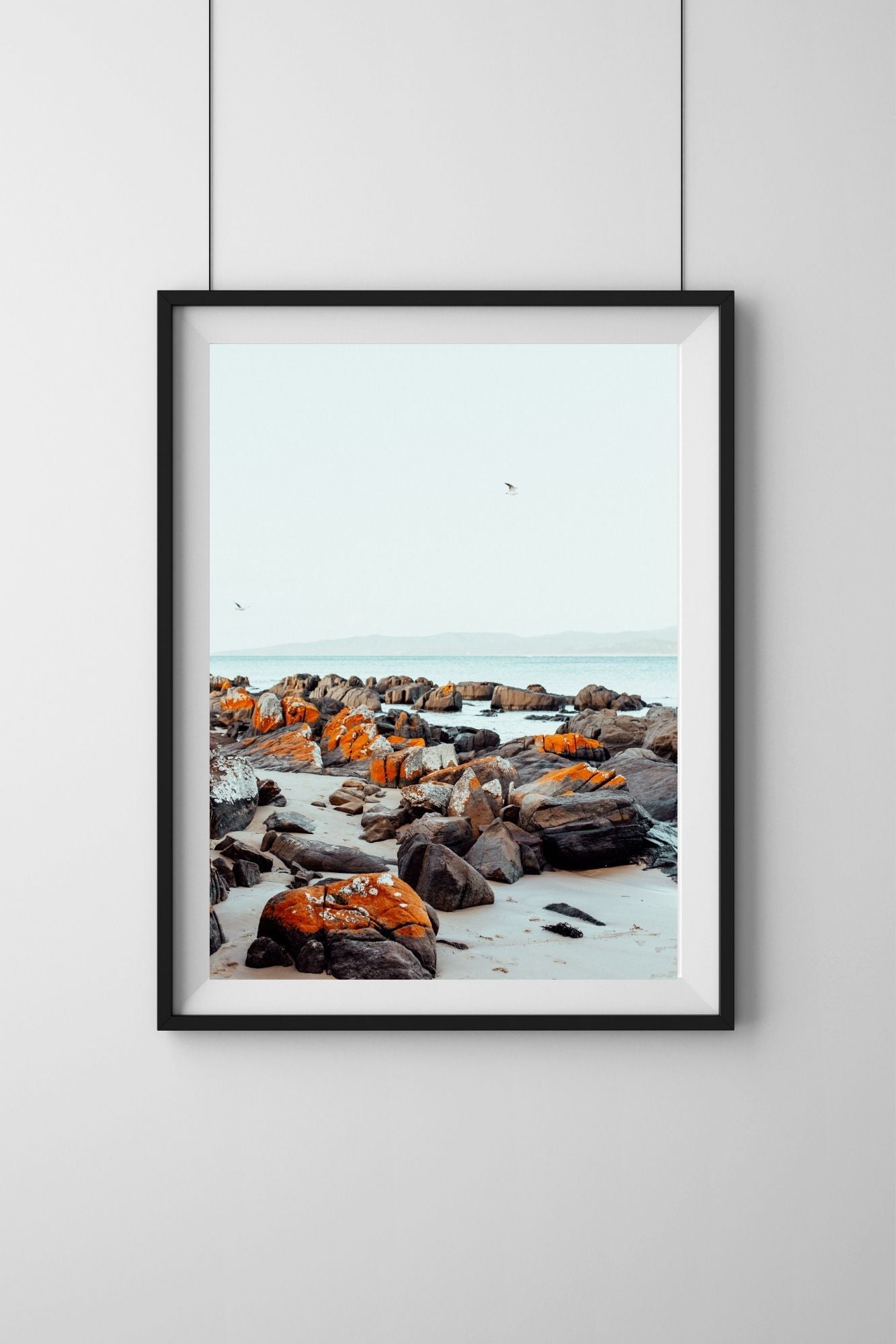 Hawley Beach III Tasmania Photographic Print
