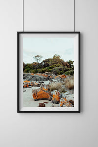Hawley Beach II Tasmania Photographic Print