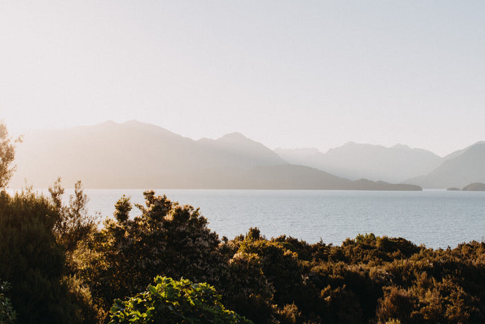 New Zealand Lake Te Anau 8x10 SALE