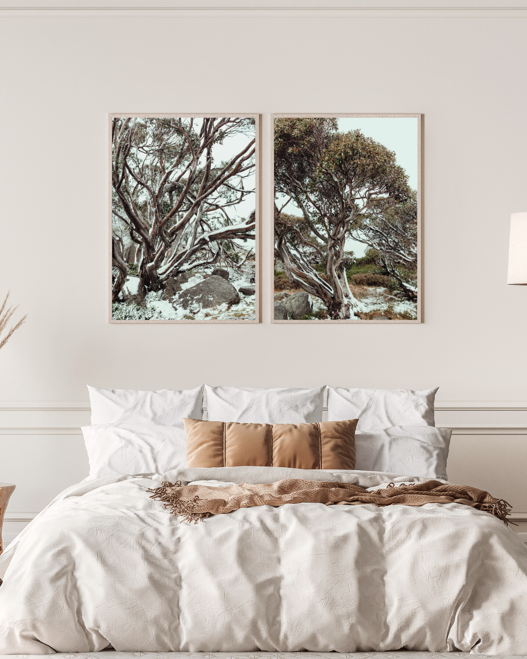 Snow Gum Kosciuszko II Photographic Print