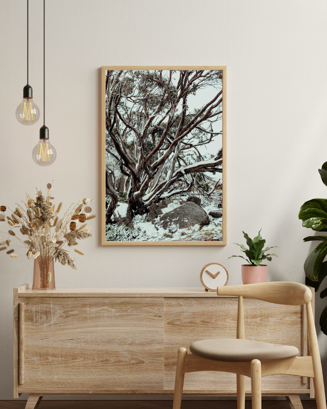 Snow Gum Kosciuszko II Photographic Print