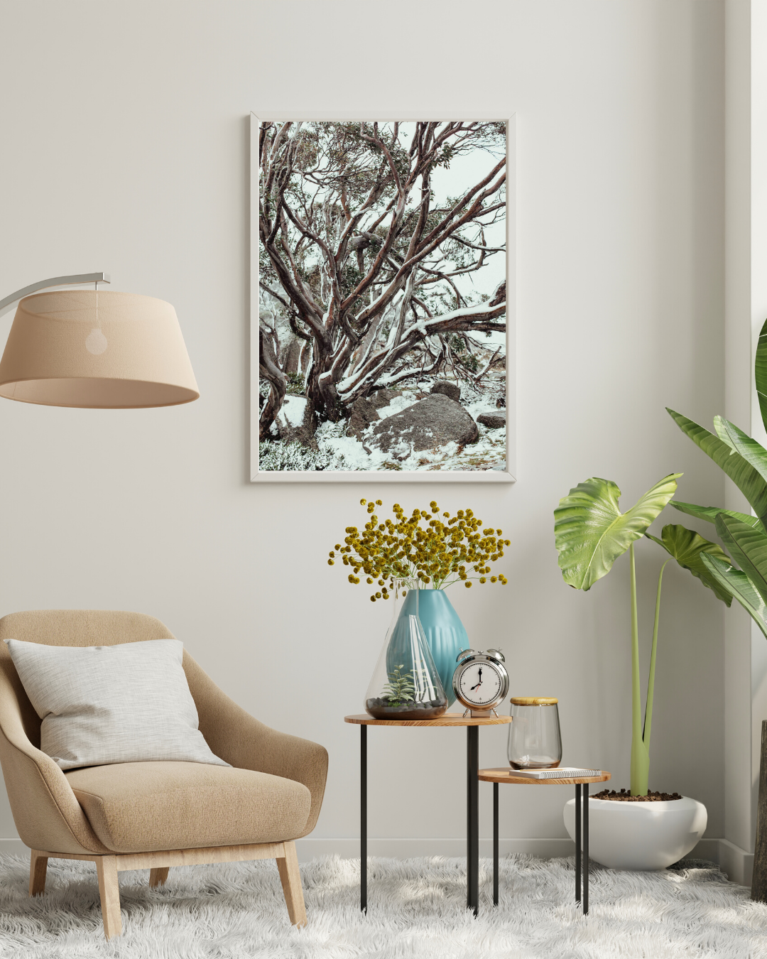 Snow Gum Kosciuszko II Photographic Print