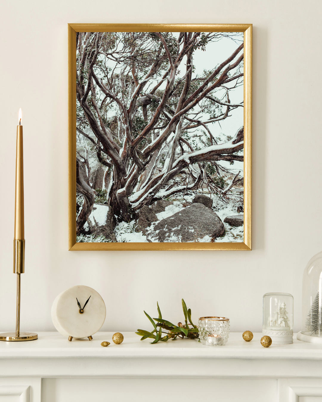 Snow Gum Kosciuszko II Photographic Print