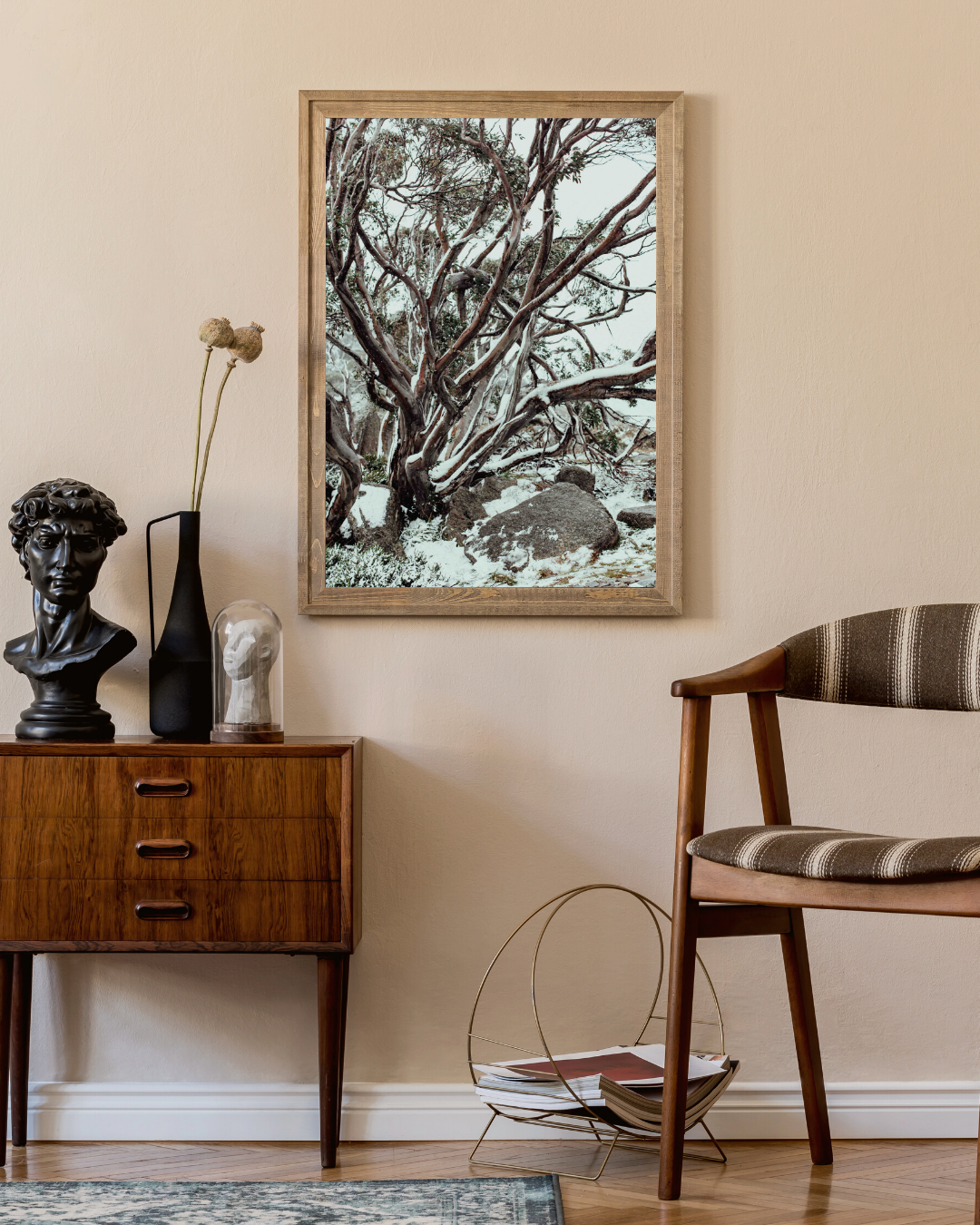 Snow Gum Kosciuszko II Photographic Print
