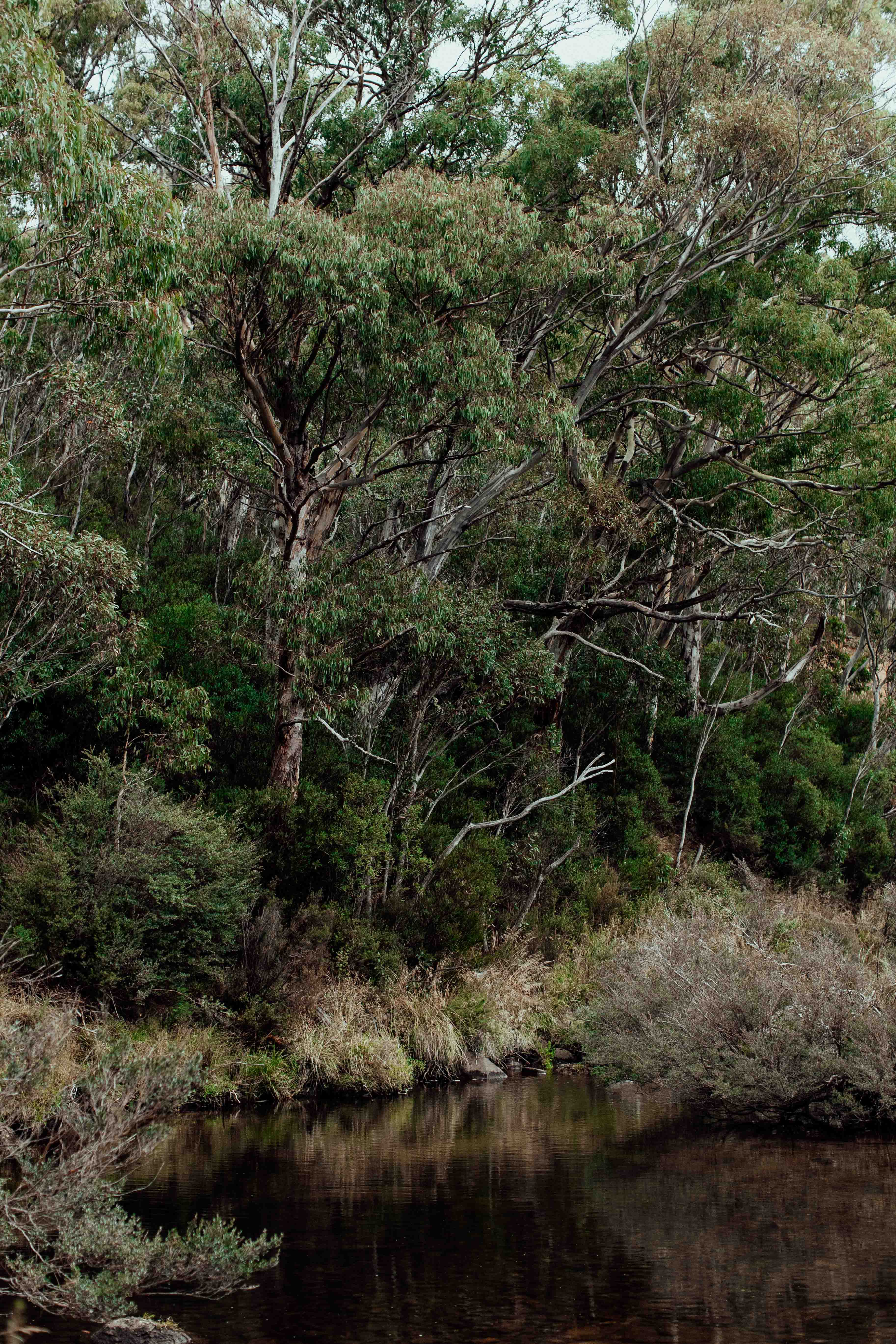 Snowy River Kosciuszko IV Photographic Print