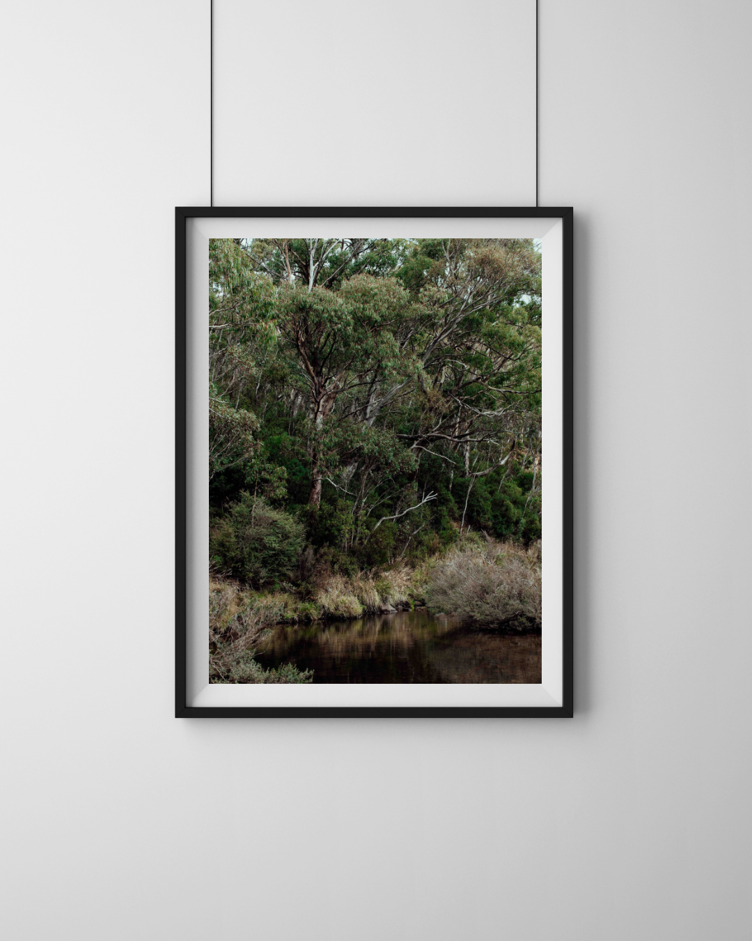 Snowy River Kosciuszko IV Photographic Print