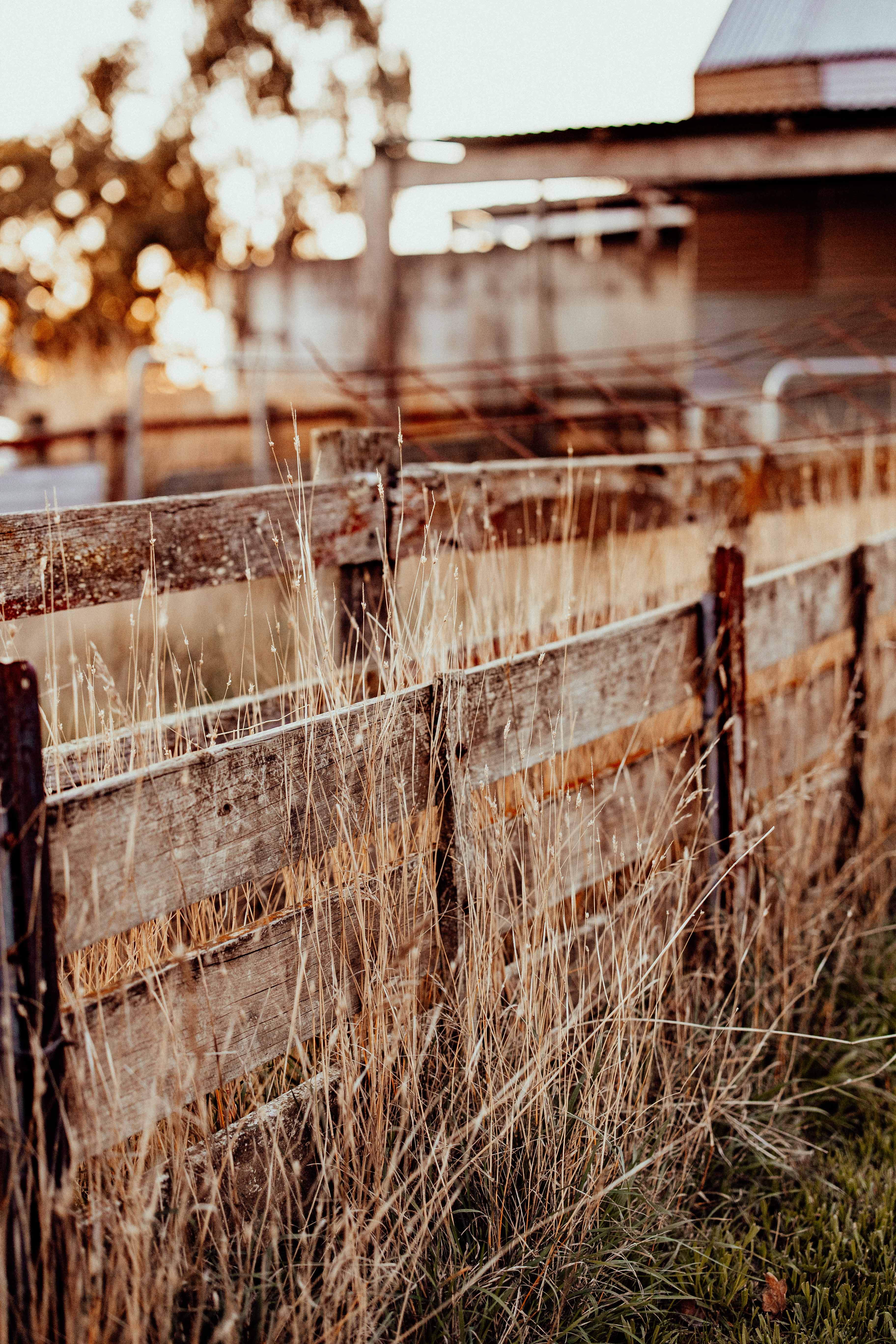 The Old Fence Photographic Print