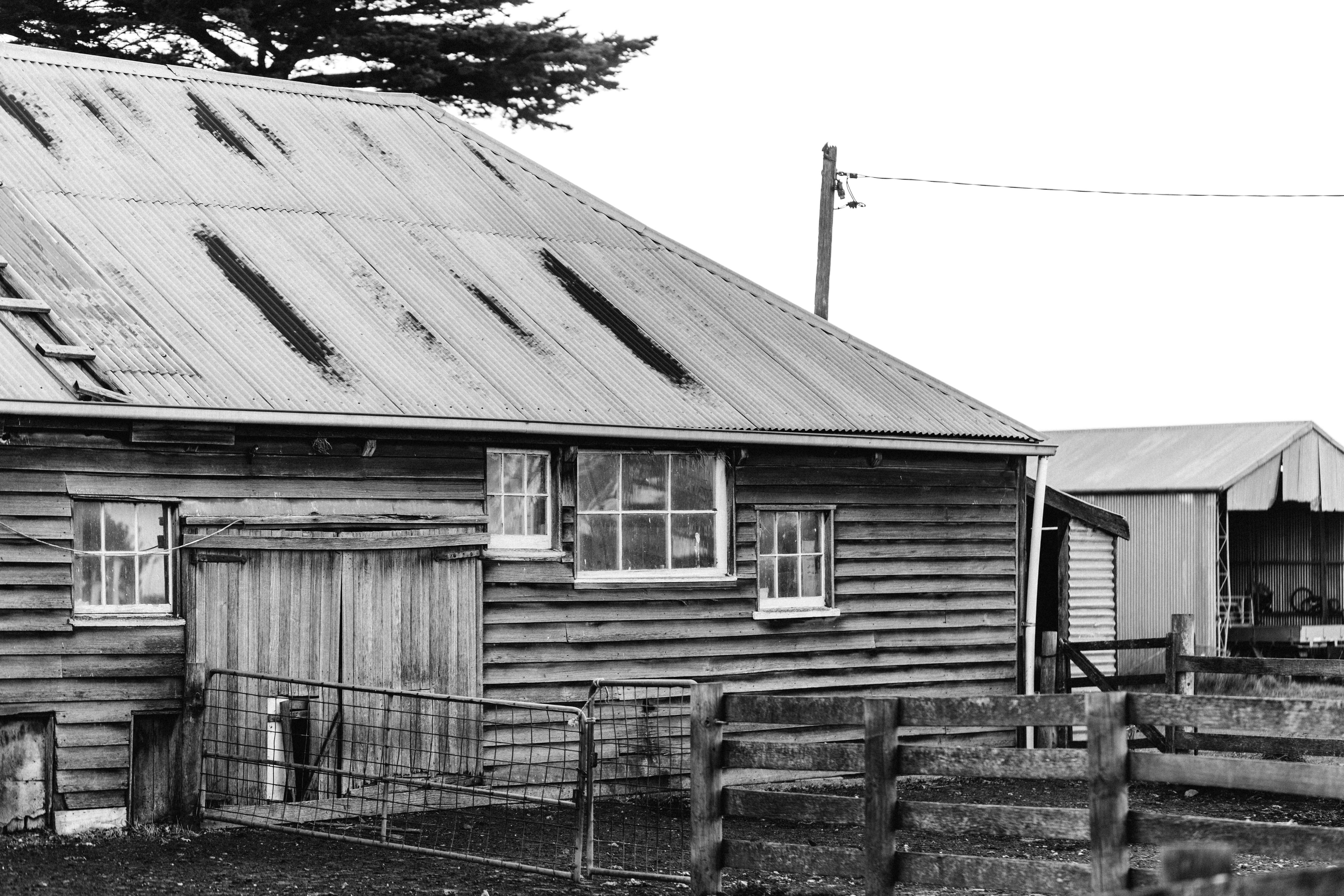 The Old Shearing Shed I Photographic Print