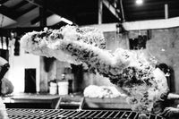 Throw of the Fleece Photographic Print