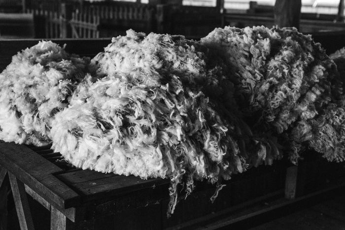 Wool Bundle I B+W Photographic Print