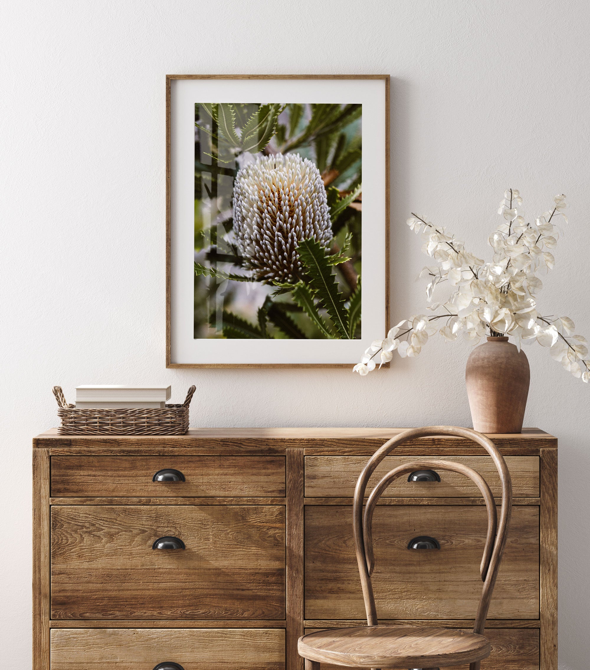 Australian Banksia Serrata photographic print by Emily O'Brien featuring a single Banksia flower in a portrait frame.