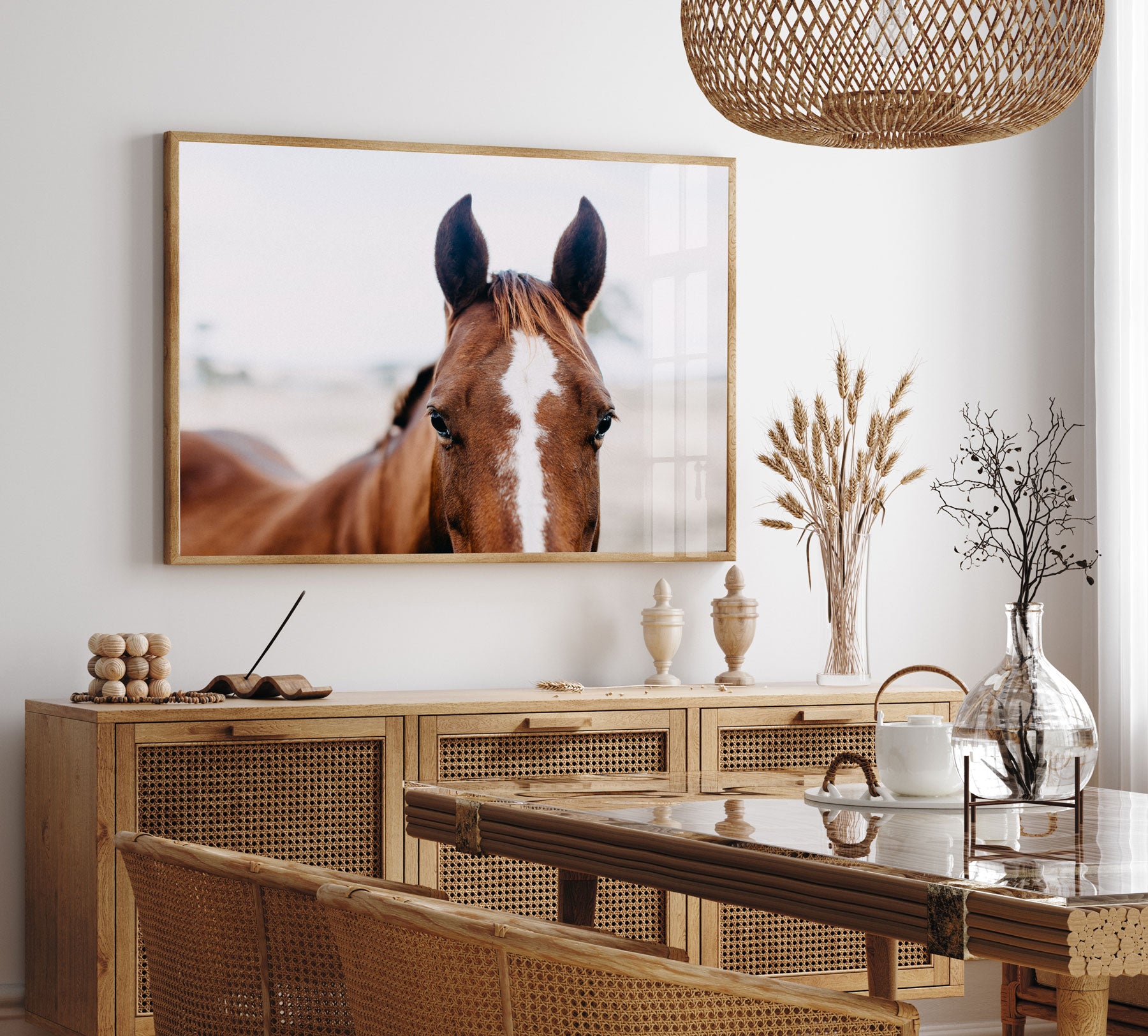 Coco the Horse III Photographic Print