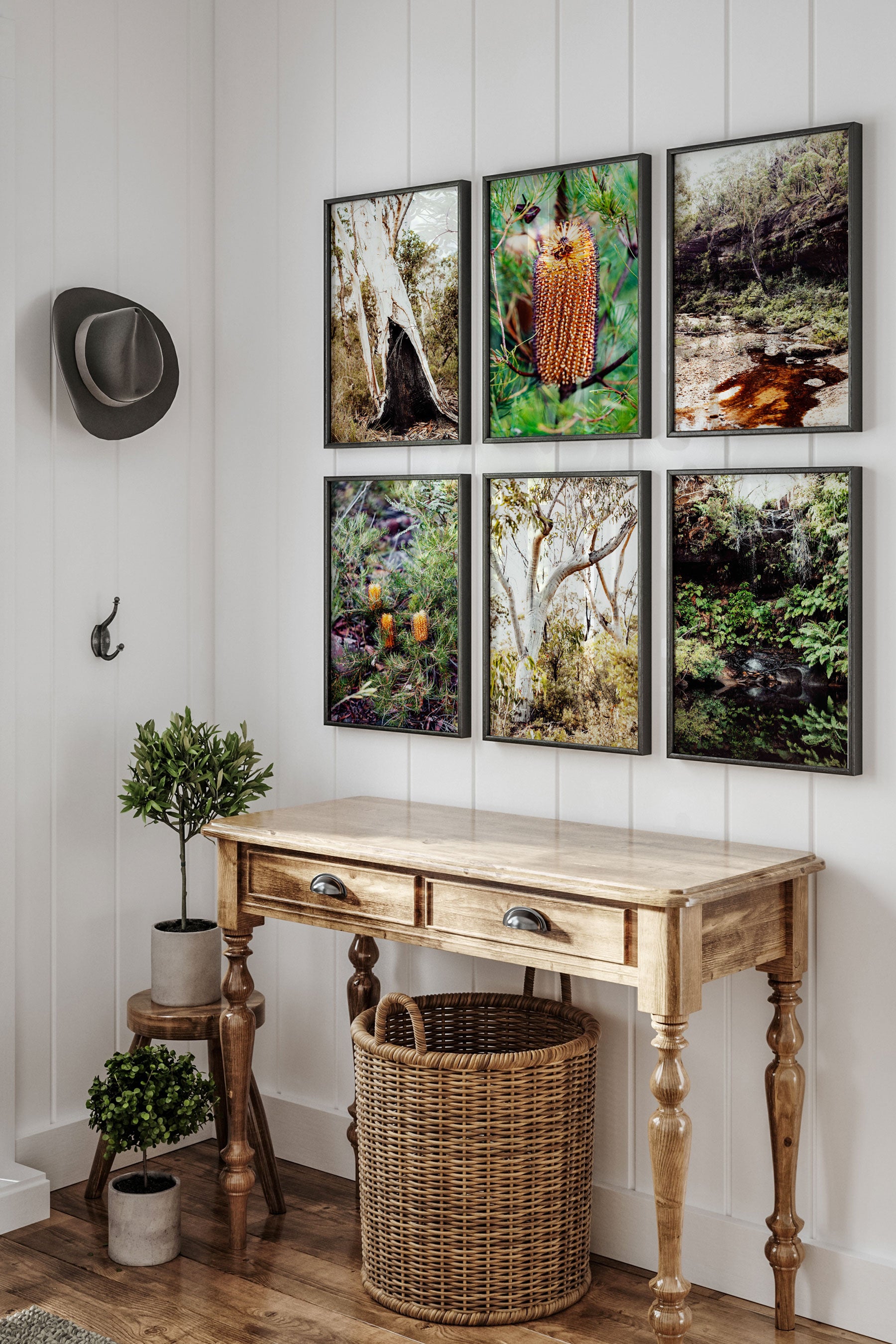 Hairpin Banksia I Photographic Print