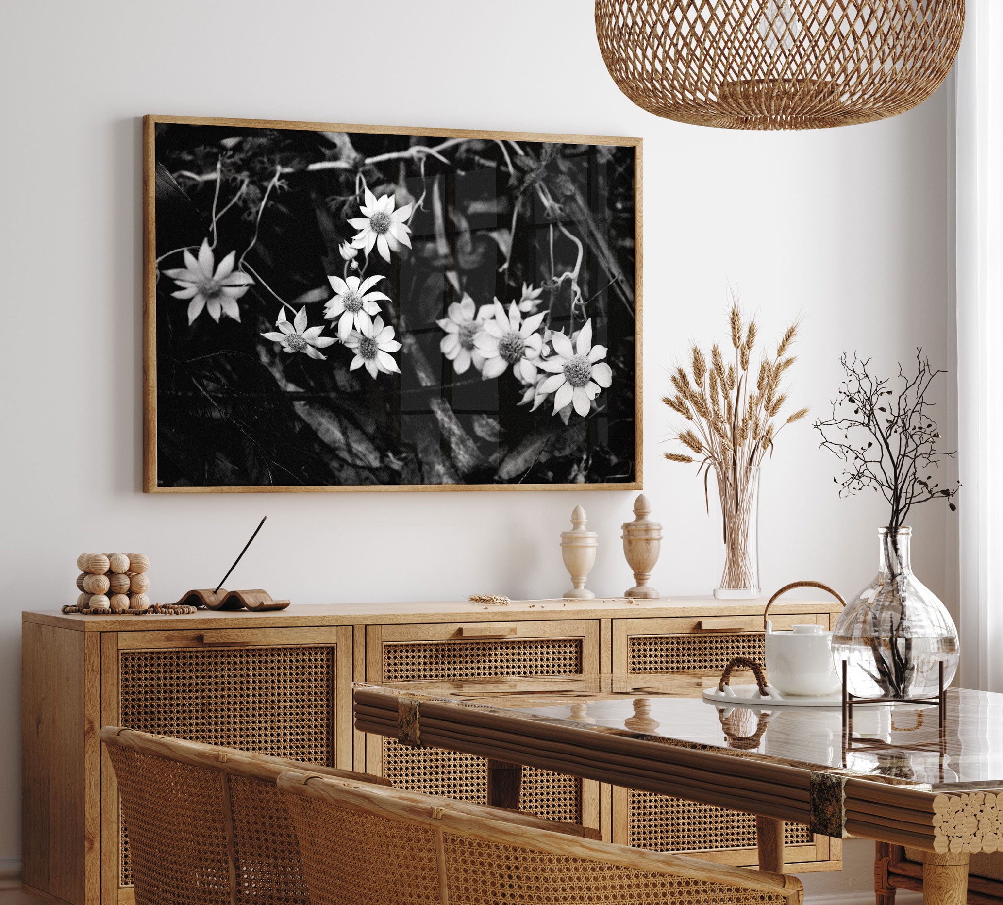 Australian Flannel Flower I B+W Photographic Print