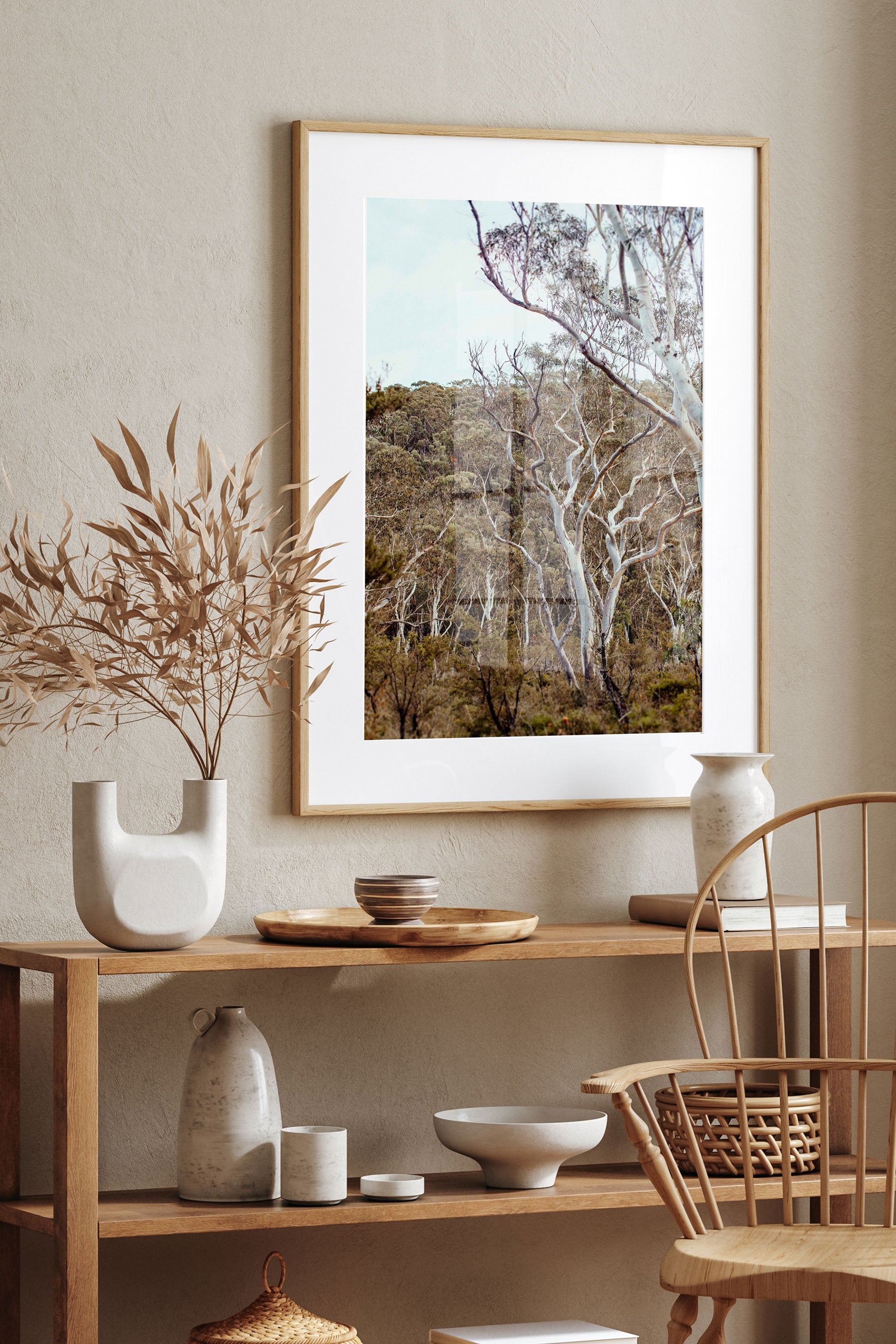 Scribbly Gums II Photographic Print