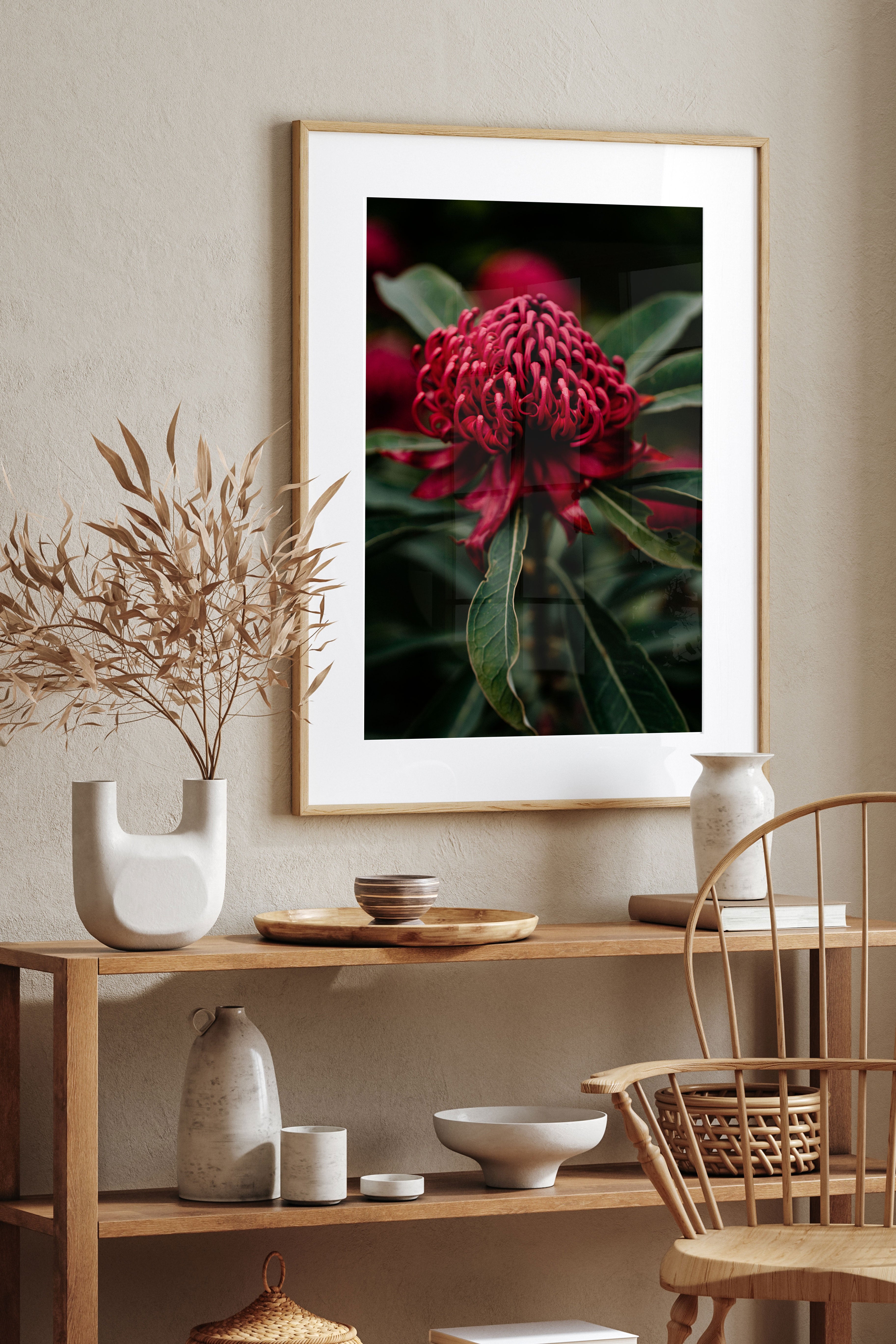 Tasmanian Waratah Photographic Print