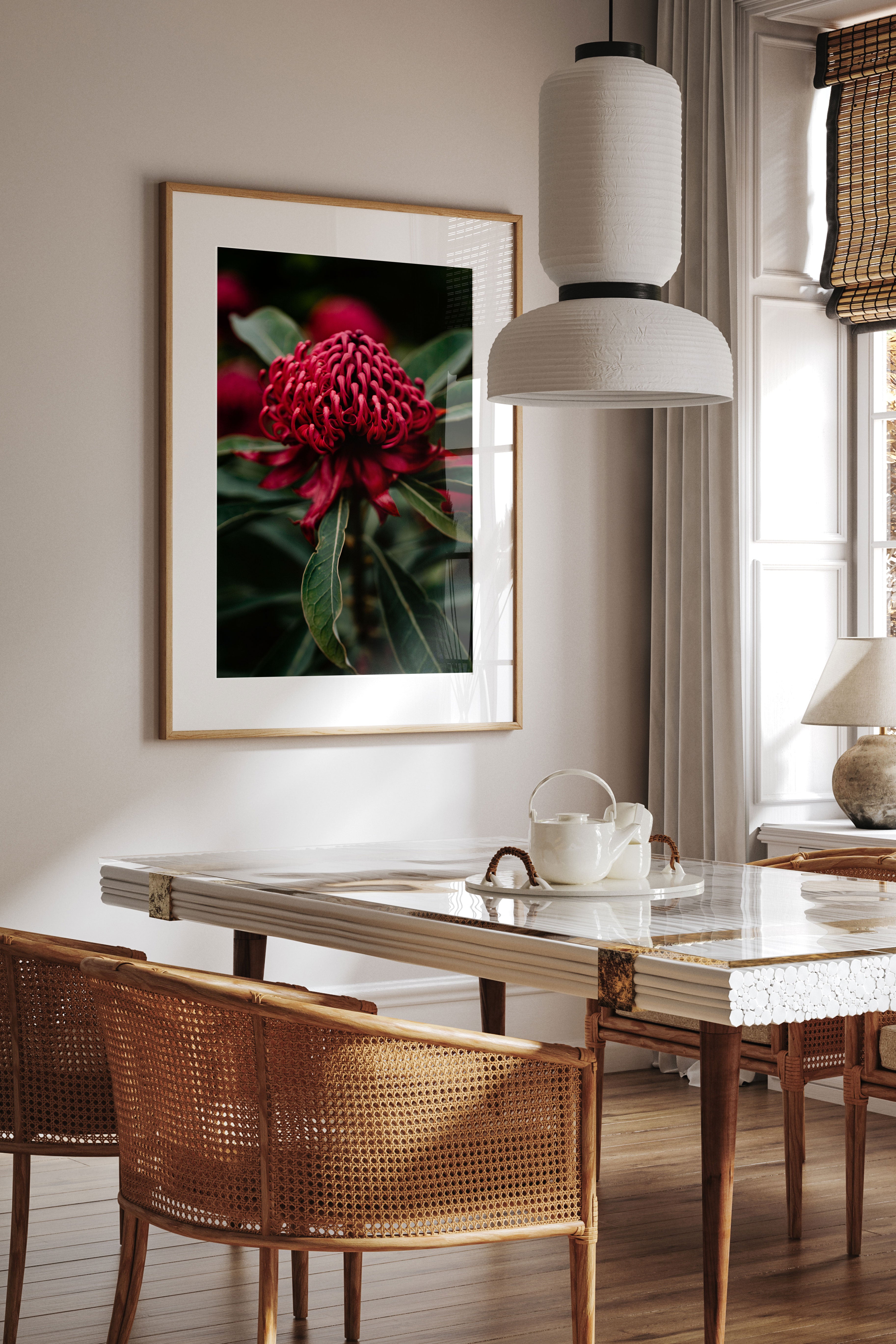 Tasmanian Waratah Photographic Print
