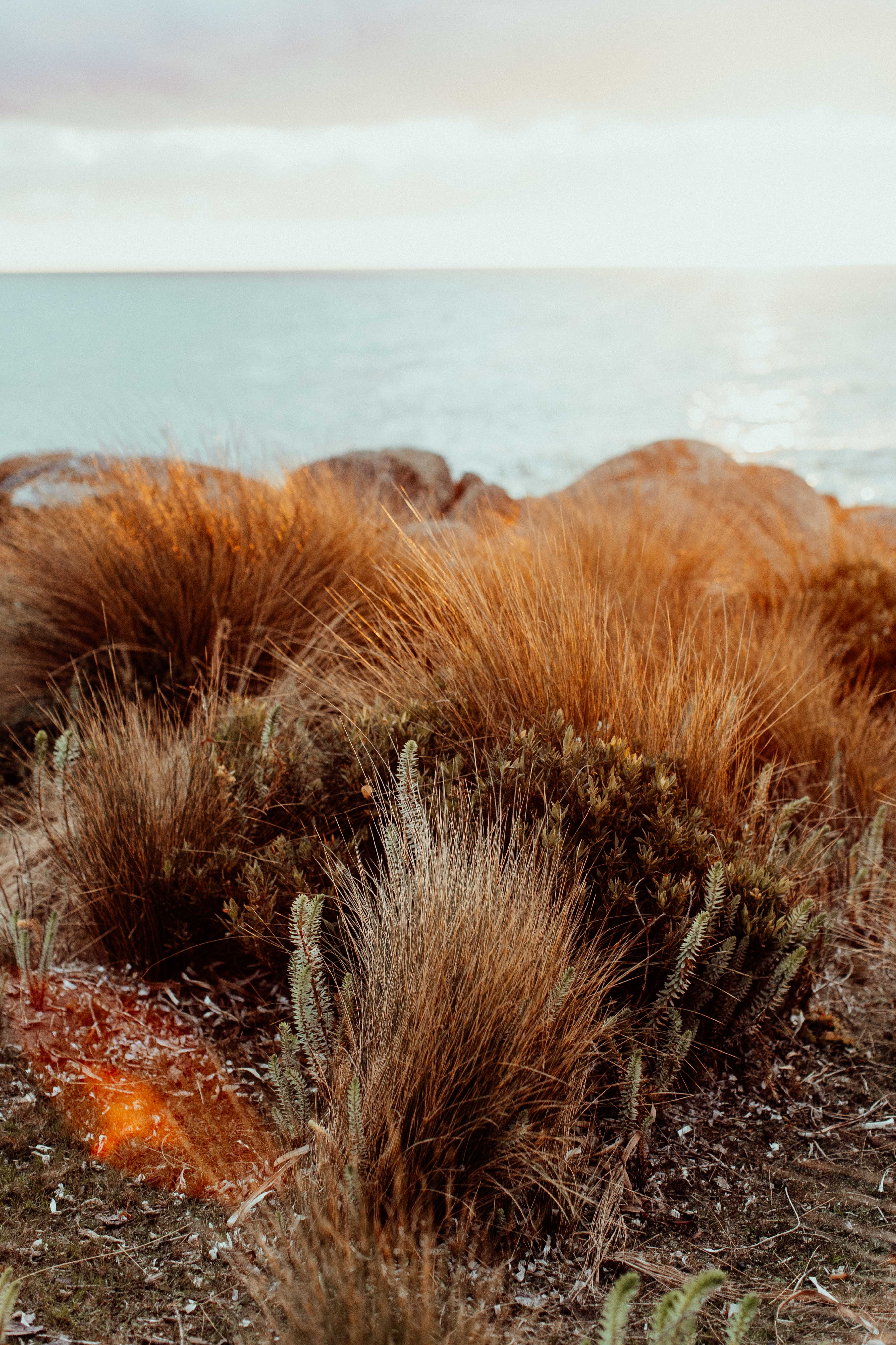 Waterhouse Conservation Tasmania II Photographic Print