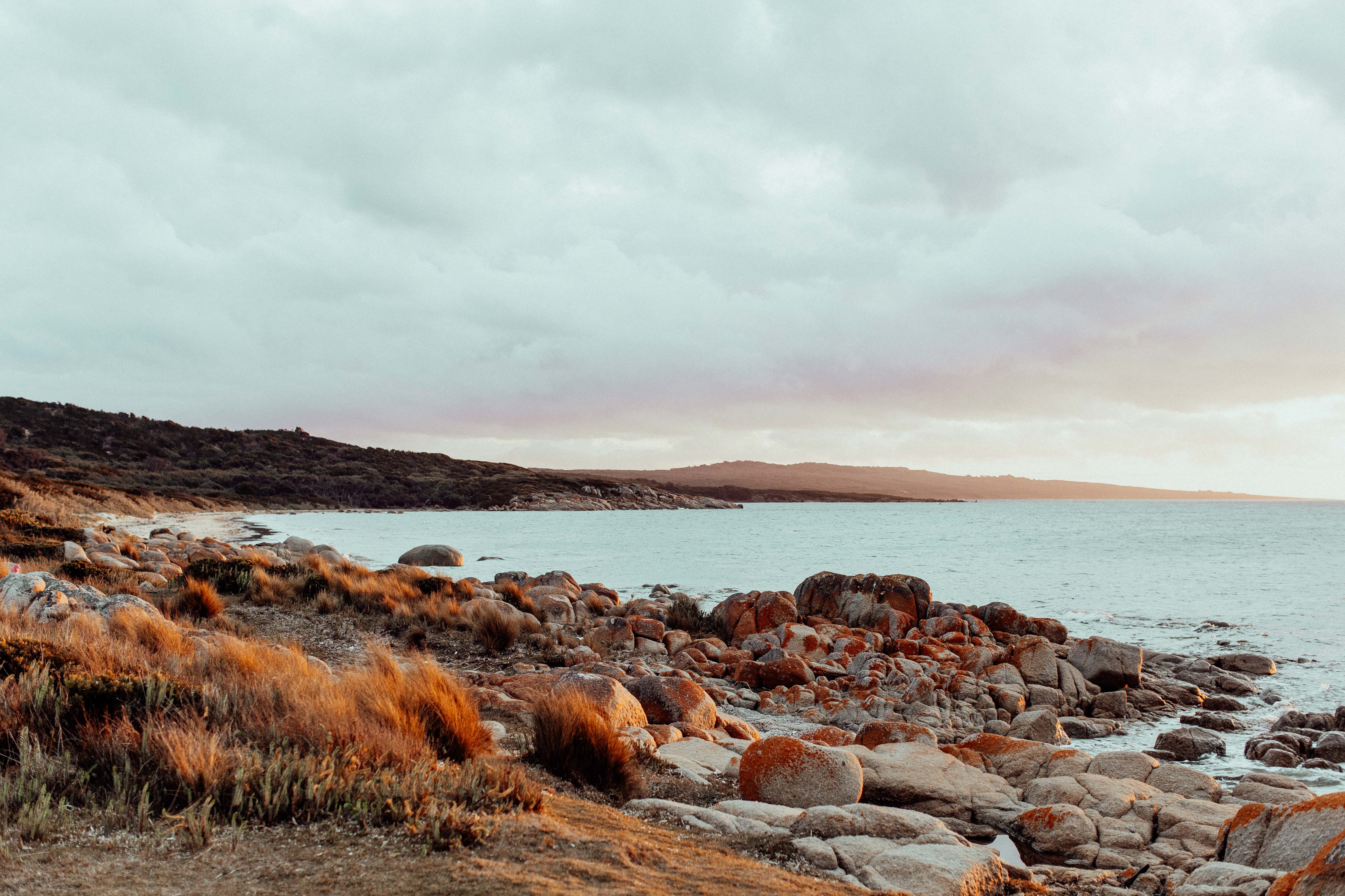 Waterhouse Conservation Tasmania III Photographic Print