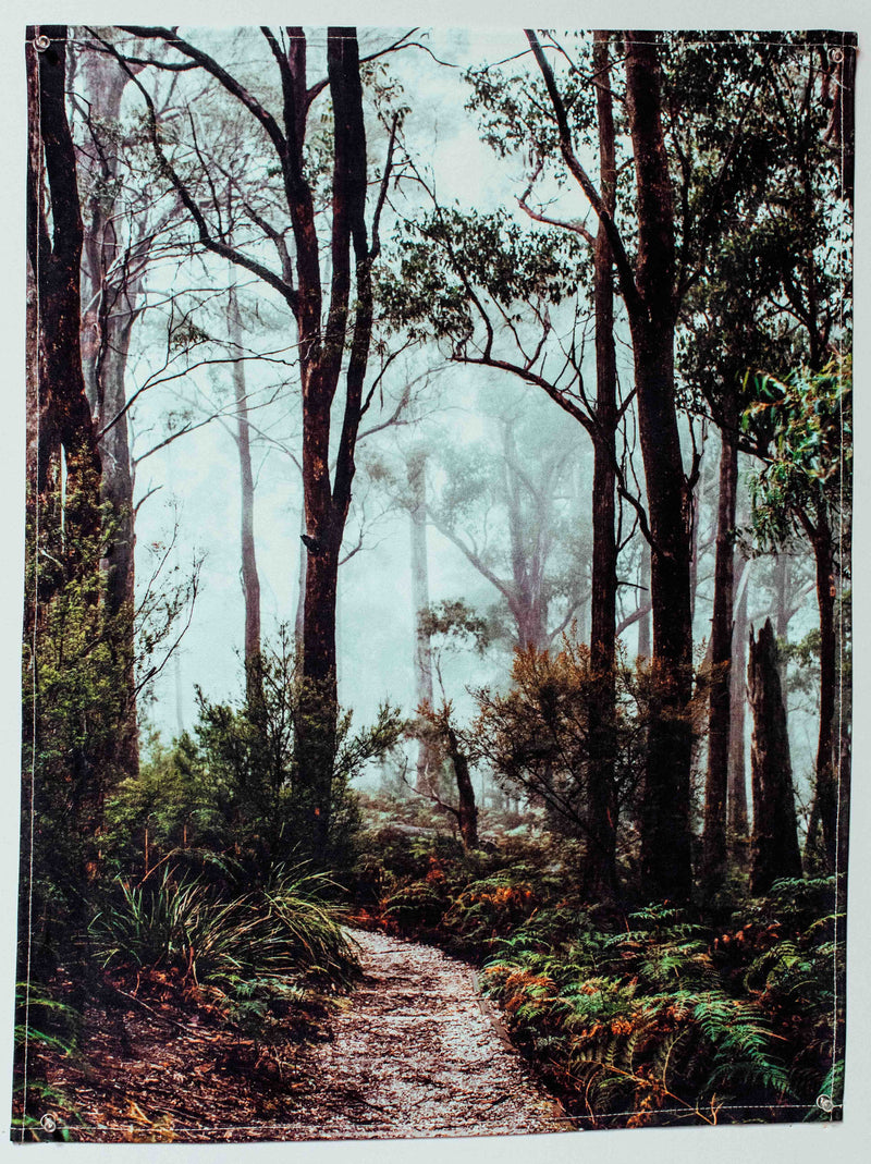 Tasmanian Rainforest Tea Towel
