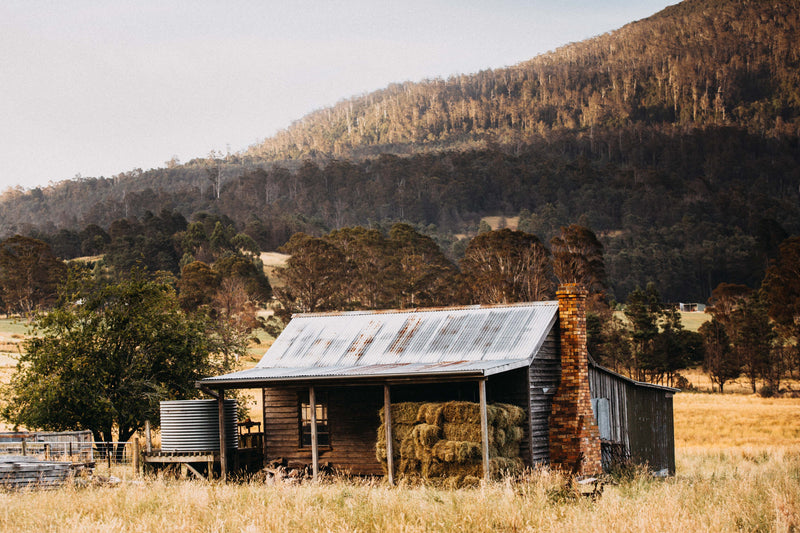 Meander Valley Shack Photographic Print