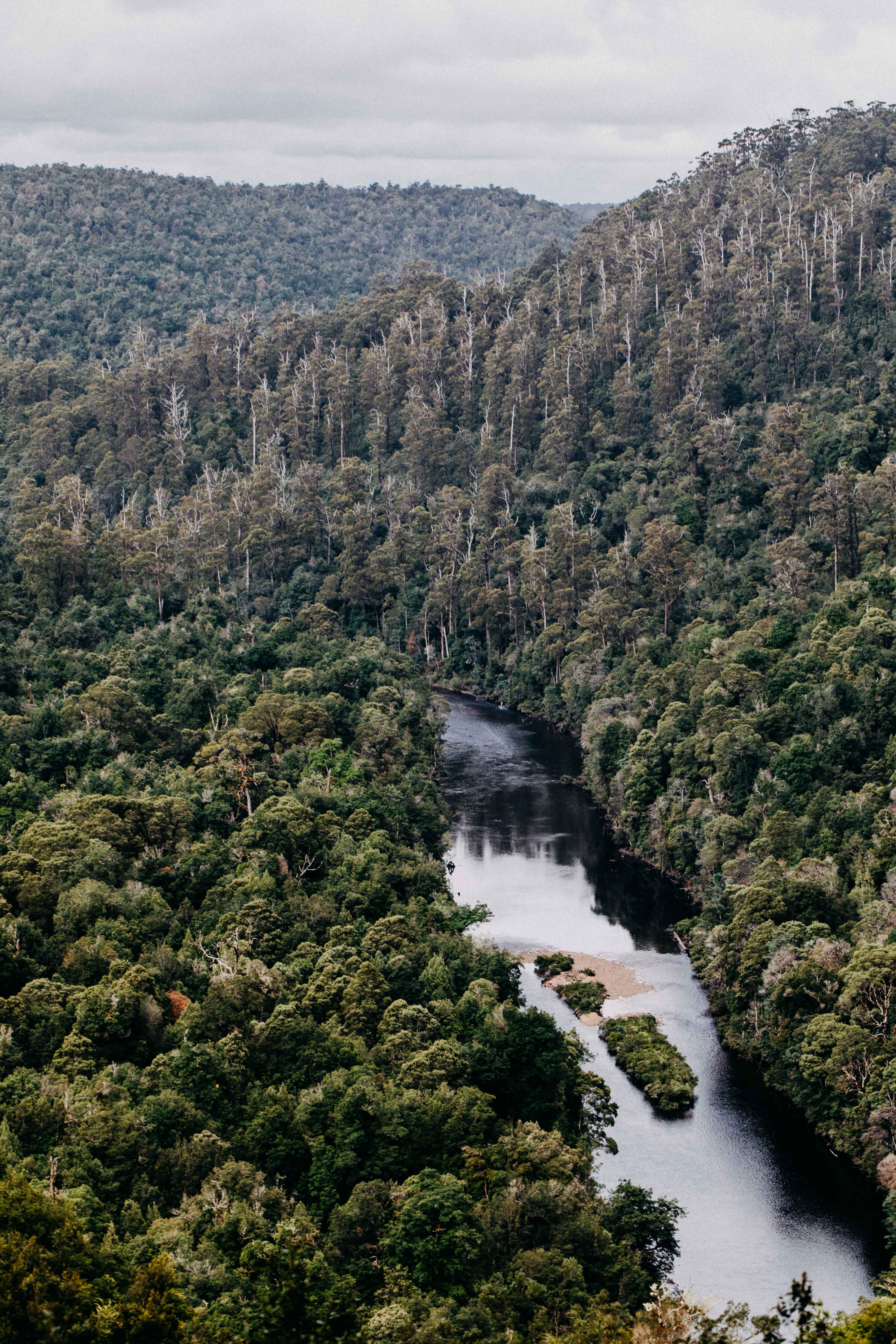 Tarkine IV Photographic Print