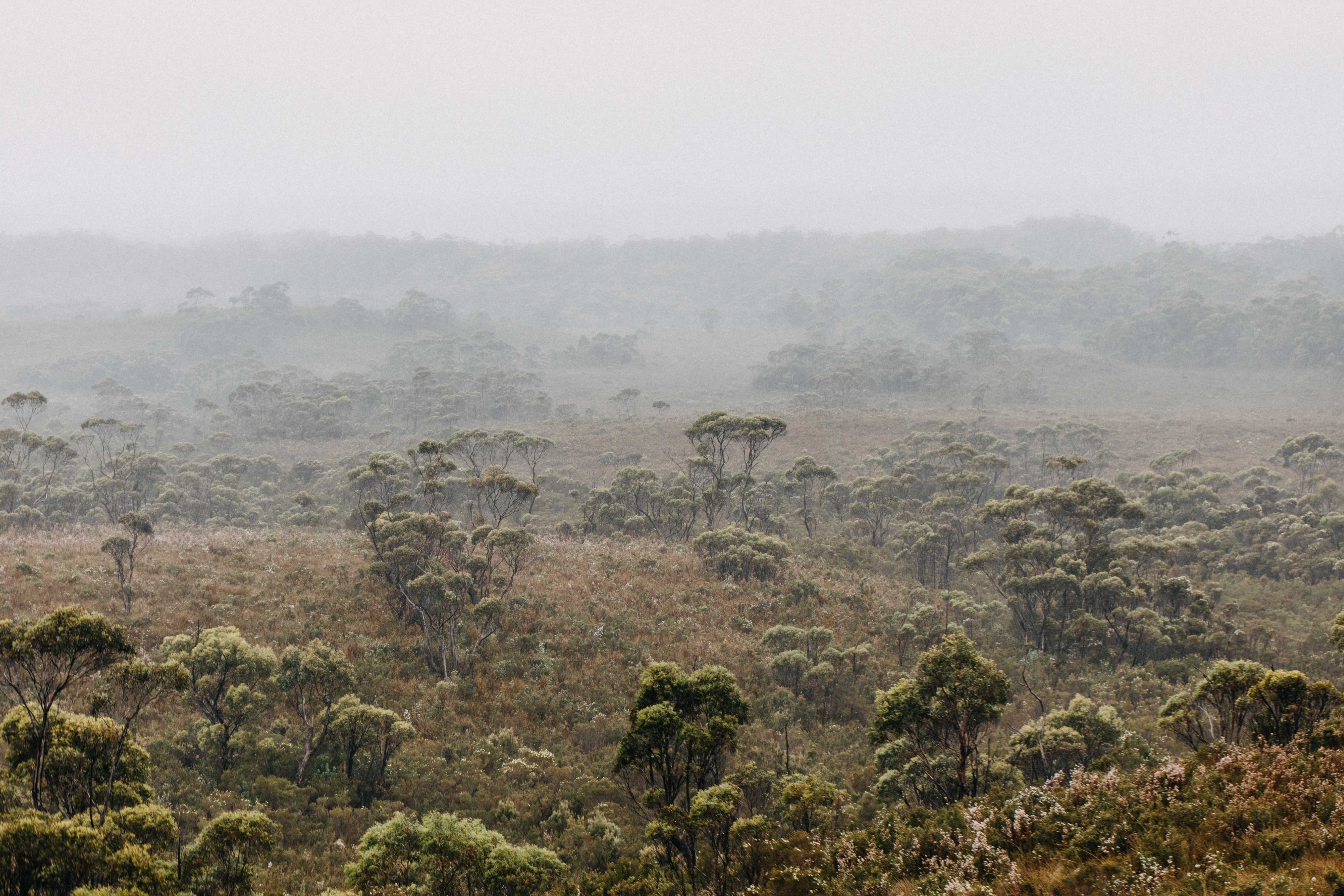 Tasmanian West Coast I Photographic Print